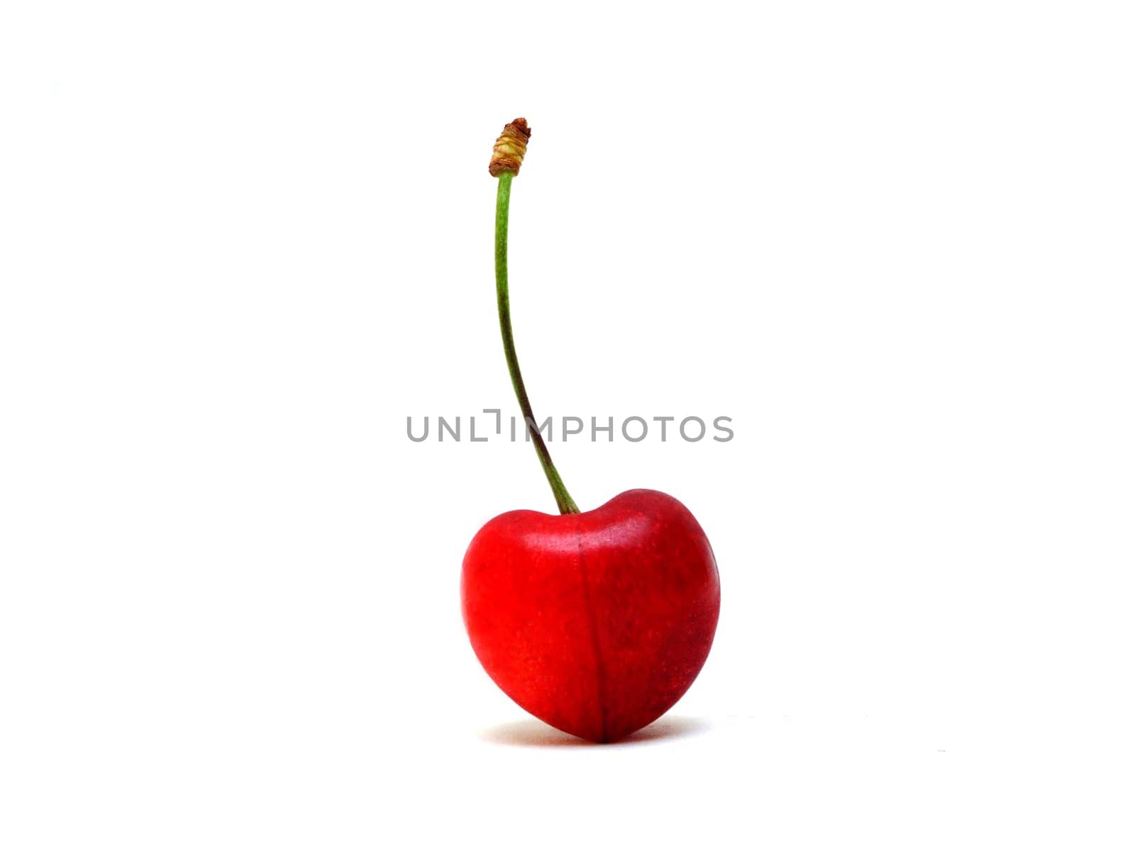 Cherry