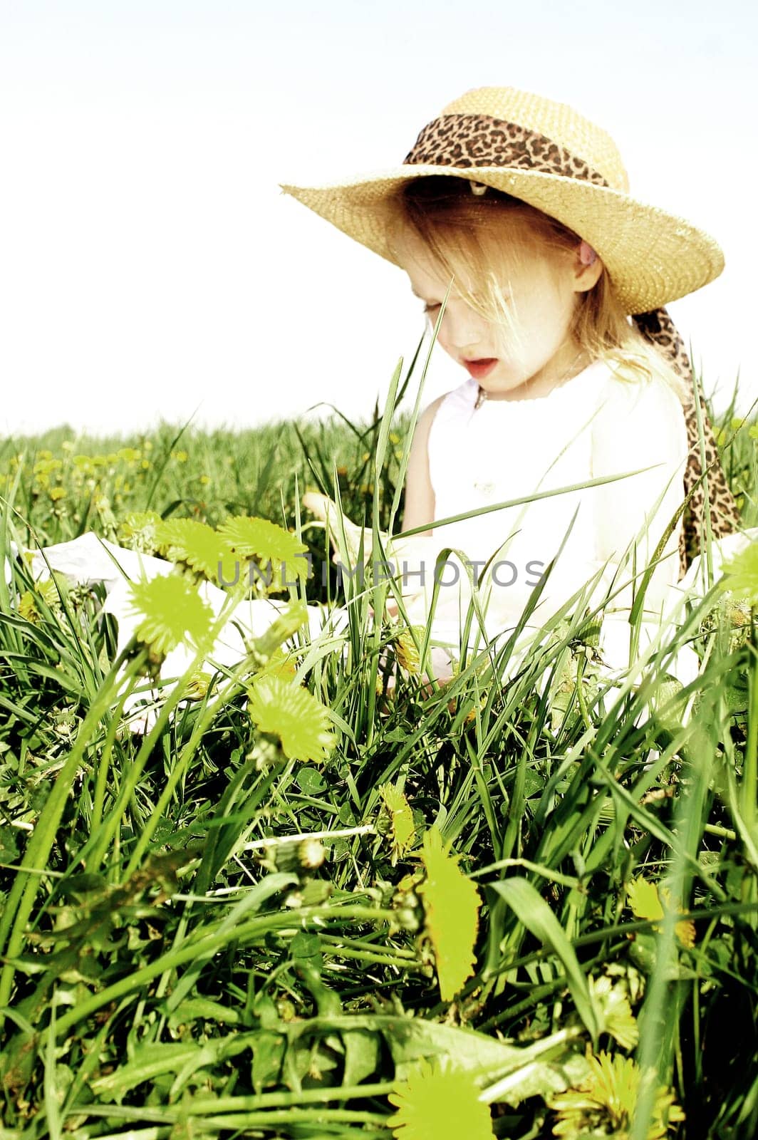 On the meadow in spring