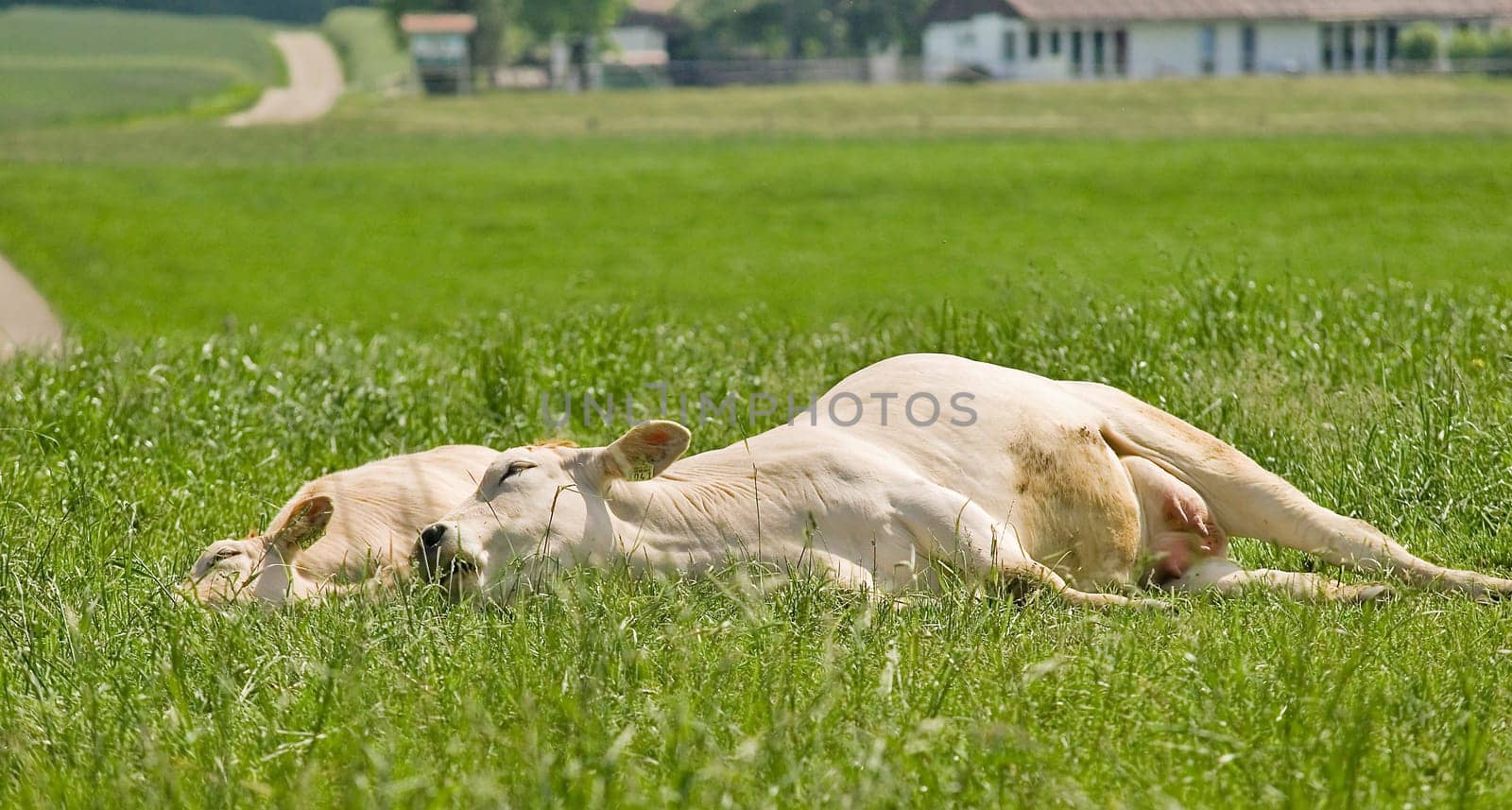 As you can see,you can still relax!