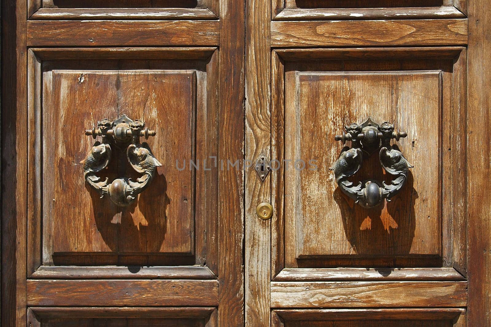 Door knocker