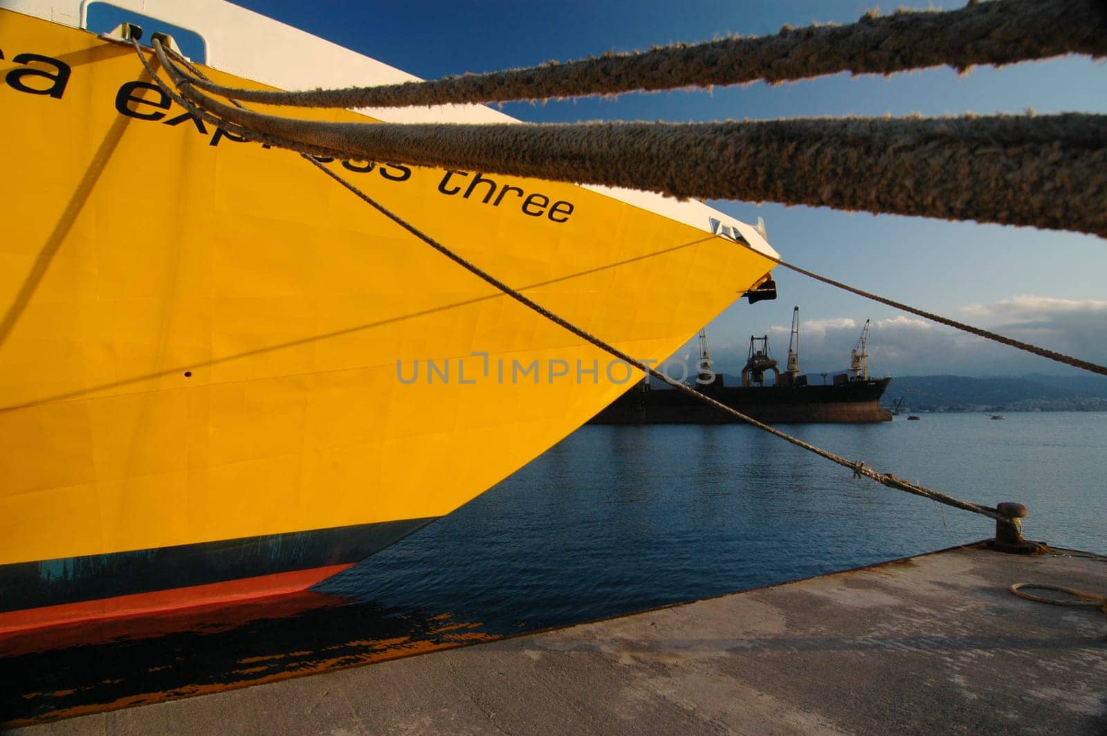 in the harbour