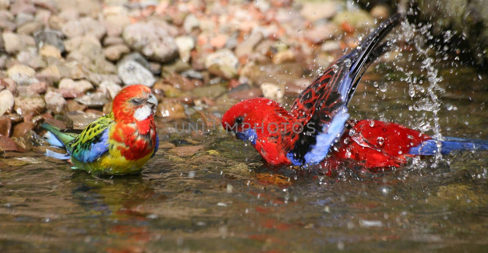 Bath time