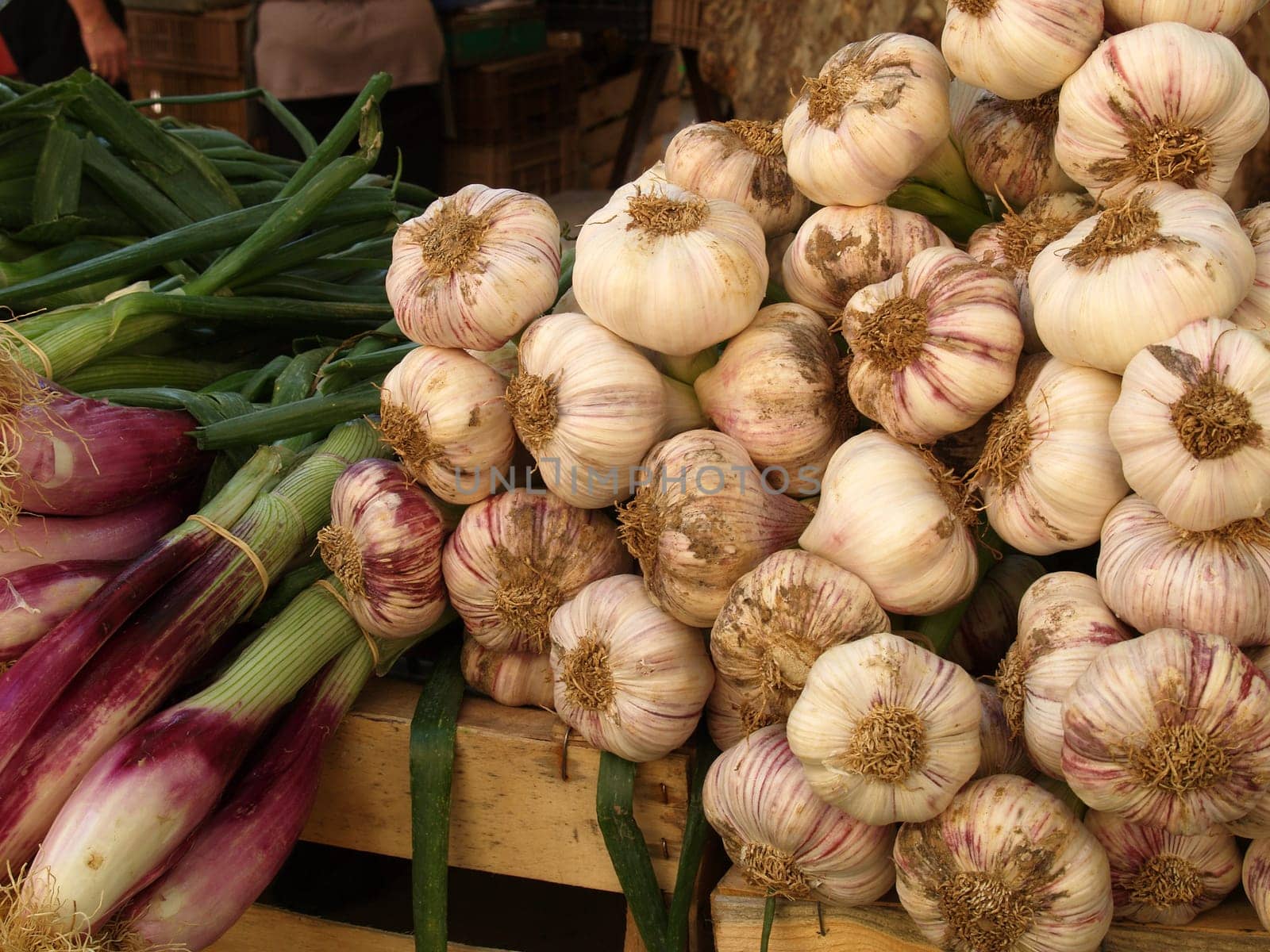 Vegetable