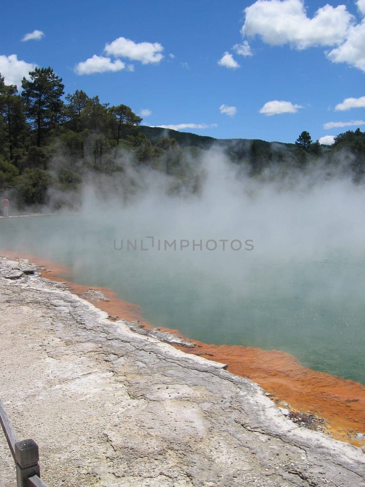Champagne Pool,New Zealand