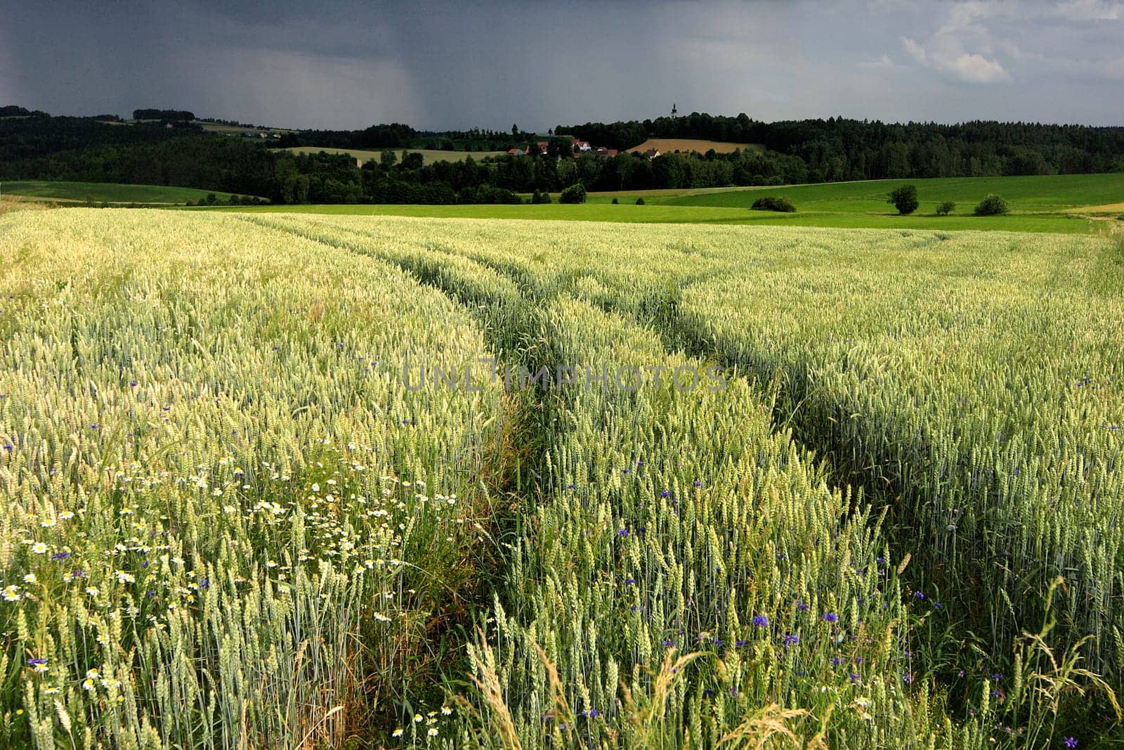 Severe weather warning