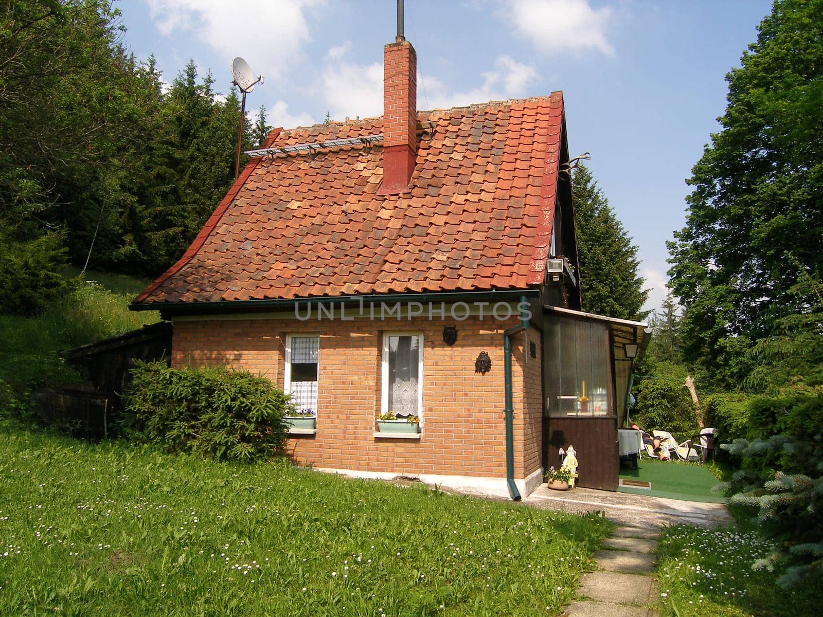Forest House