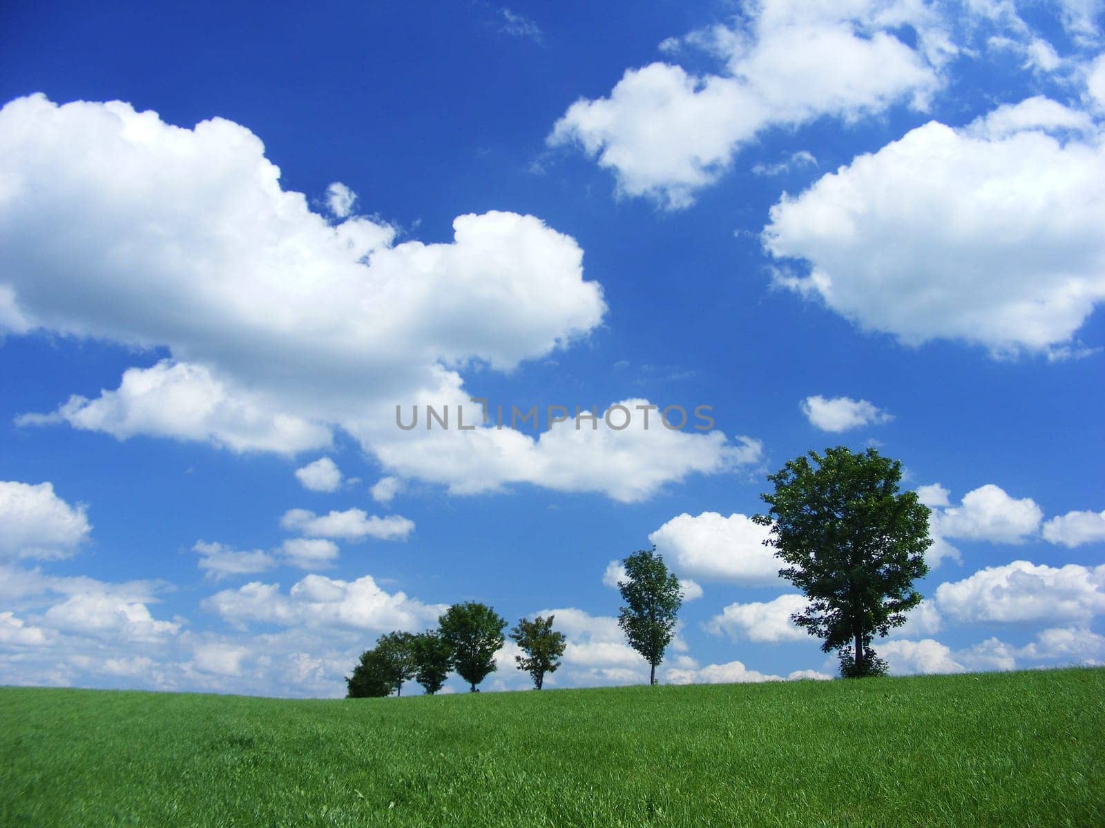 Summer day