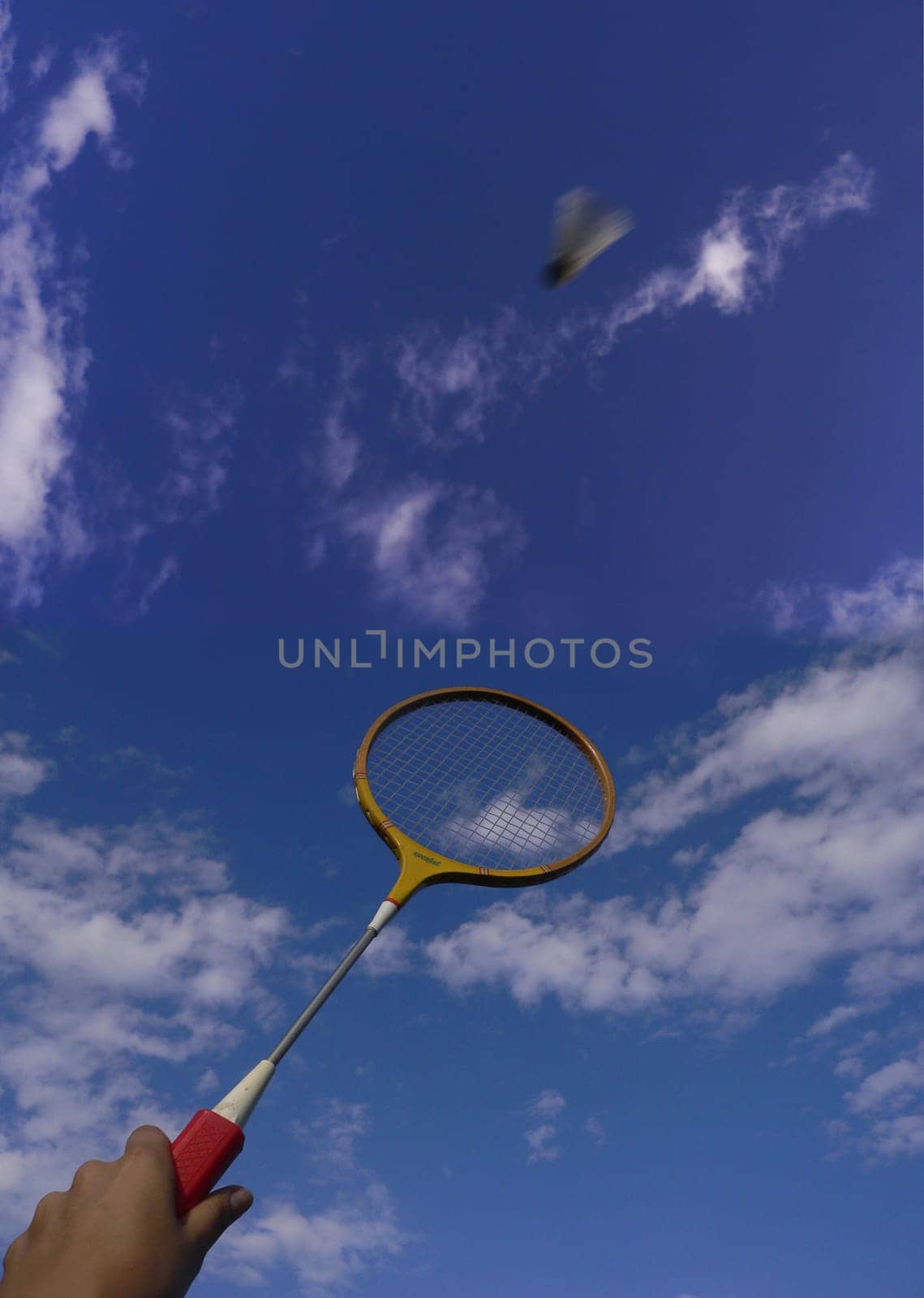shuttlecock