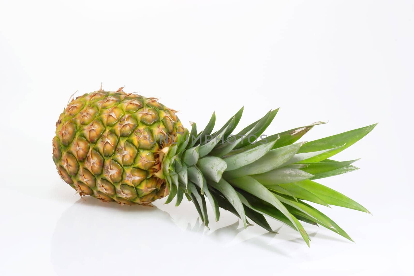 Lying pineapple