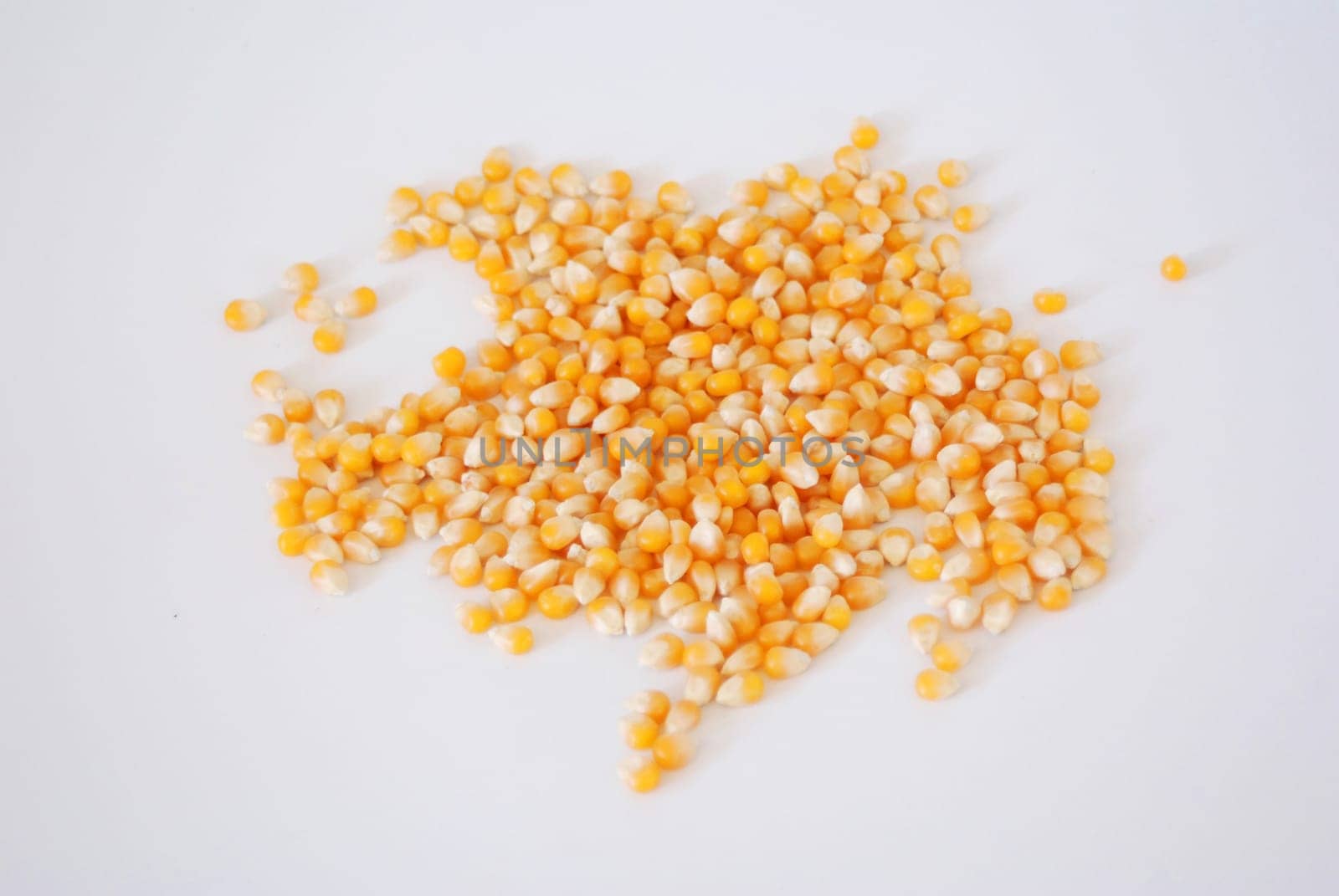 Corn