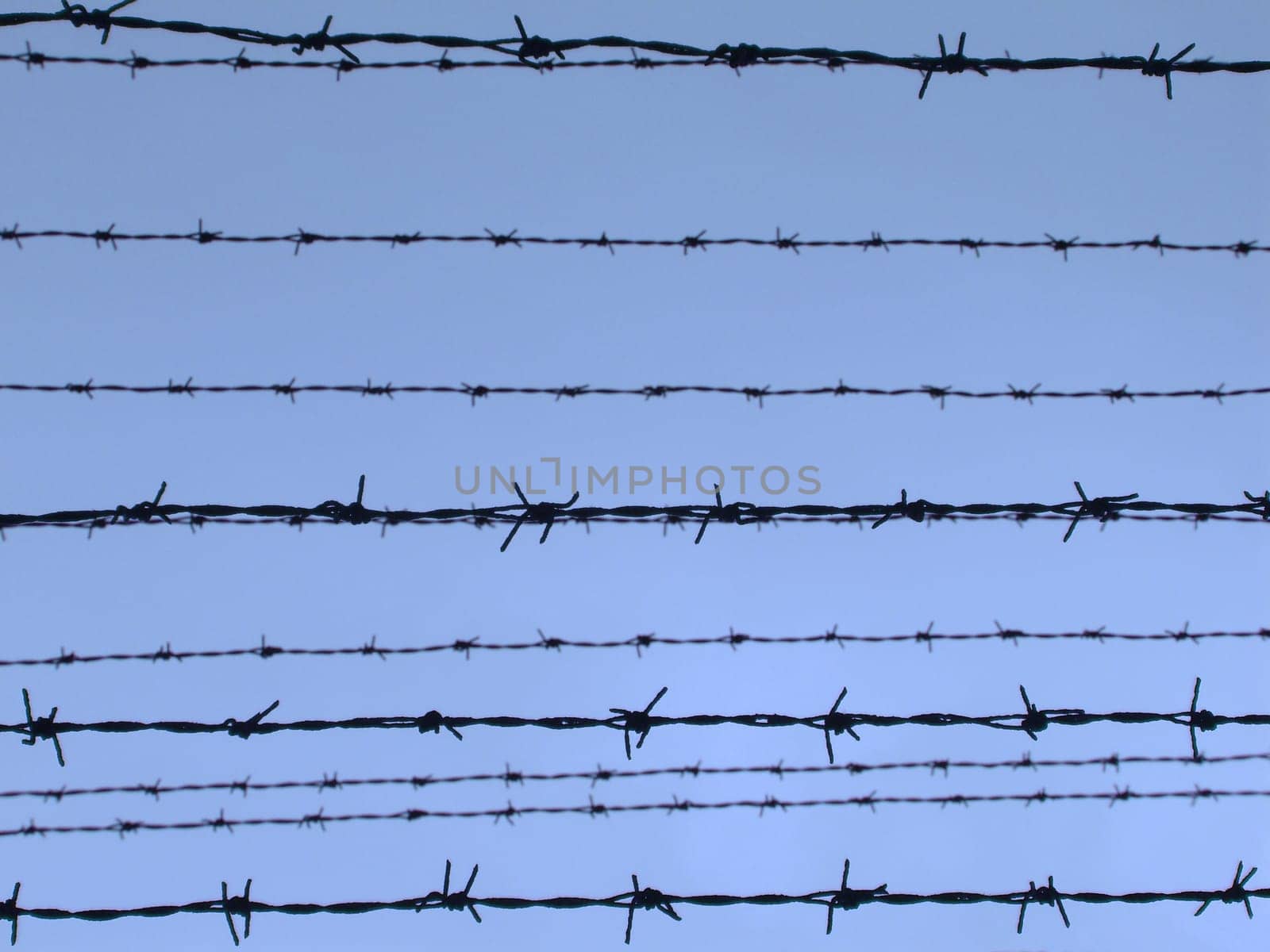 Barbed wire