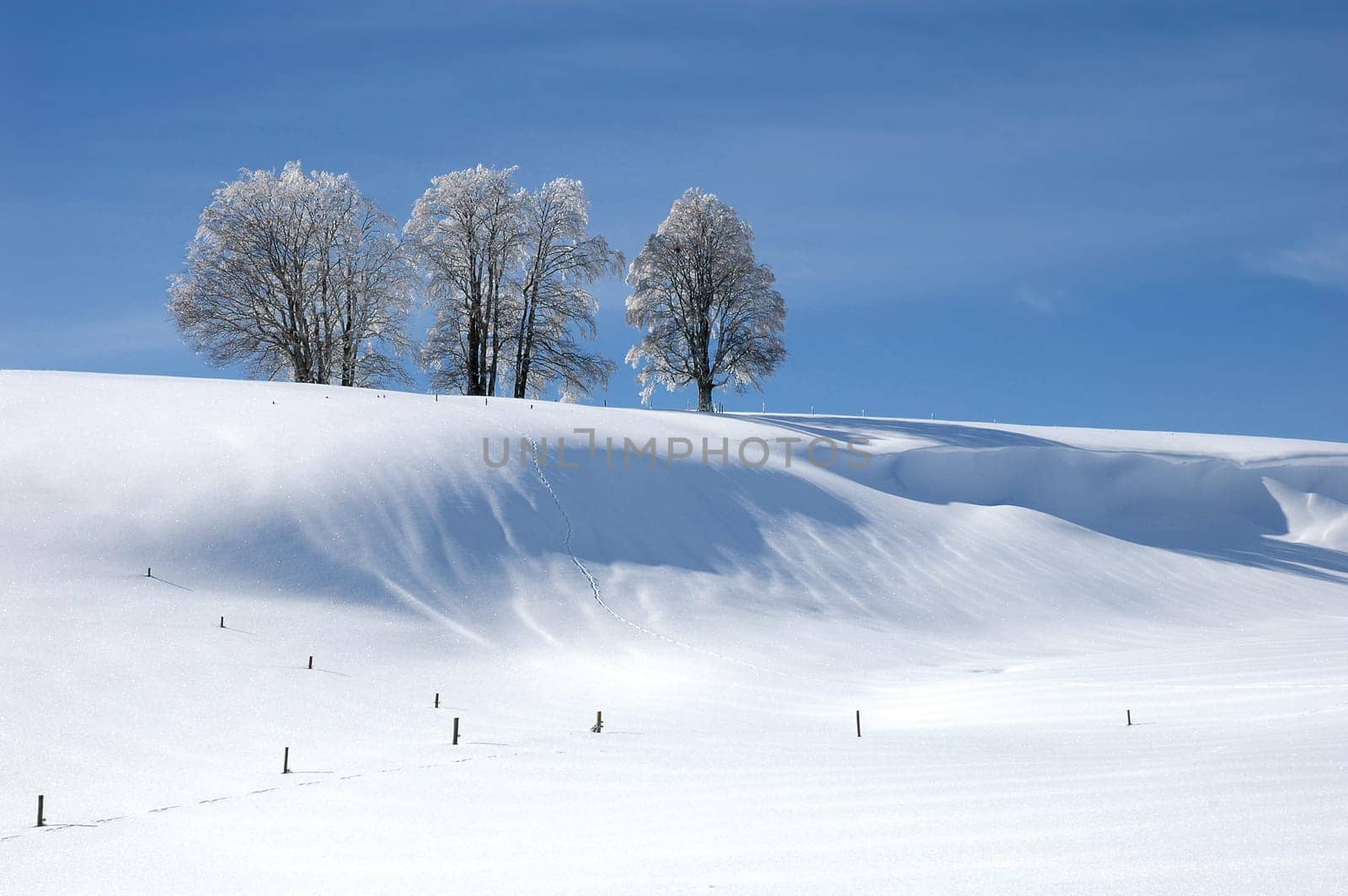 Winter Landscape 5