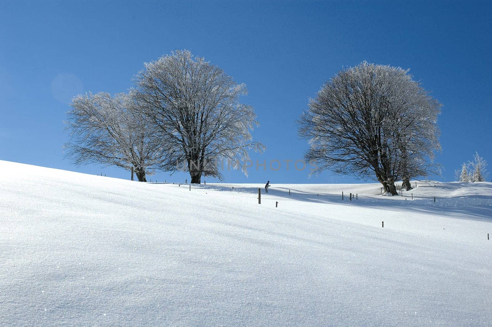 Winter Landscape 2