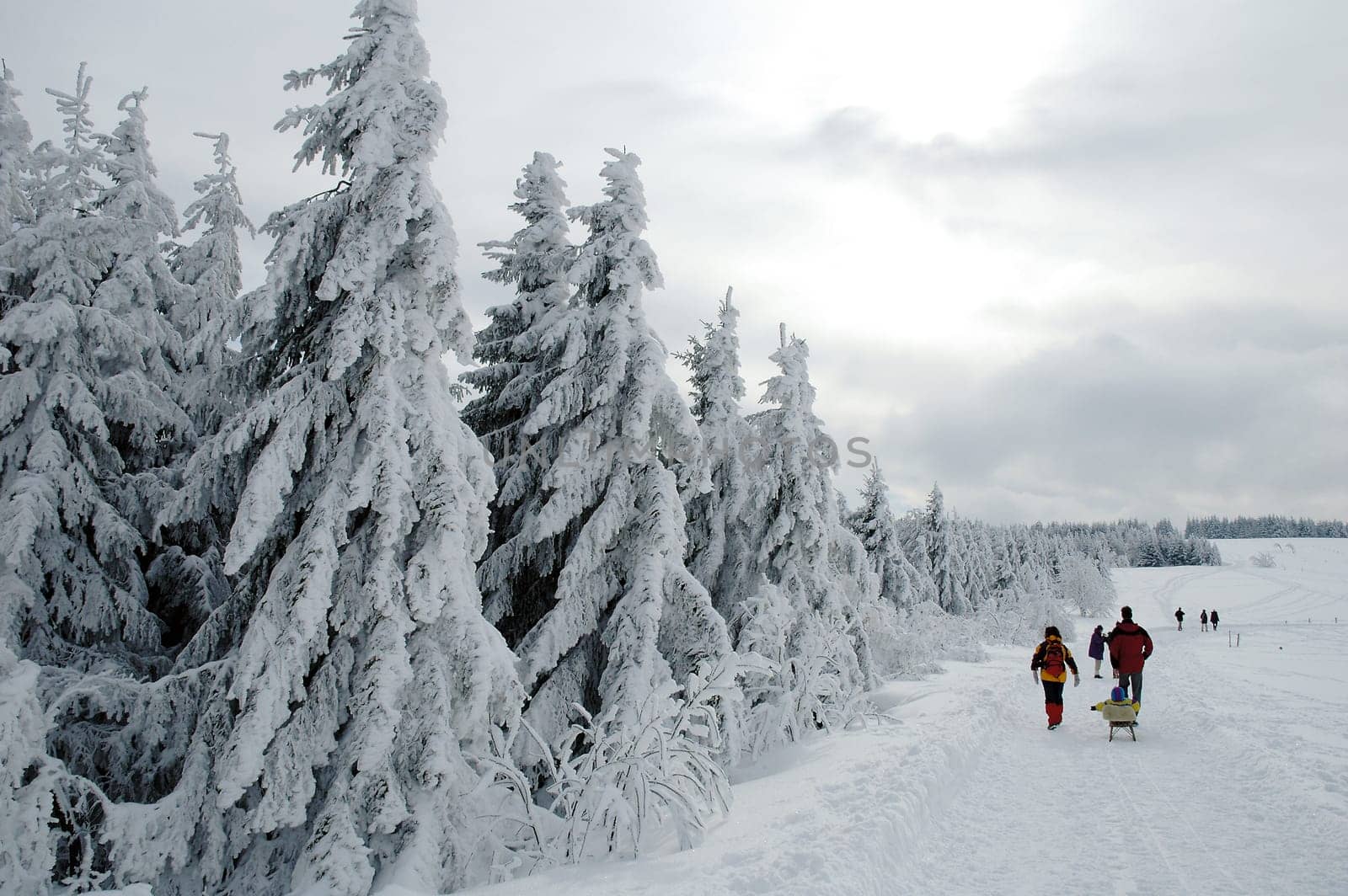 Winter Landscape 3