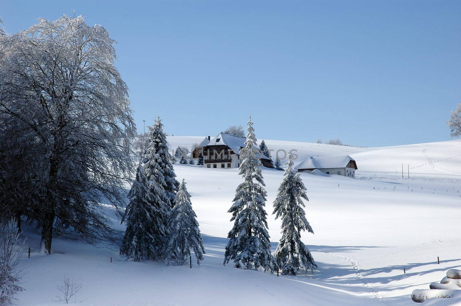 Winter Landscape 11