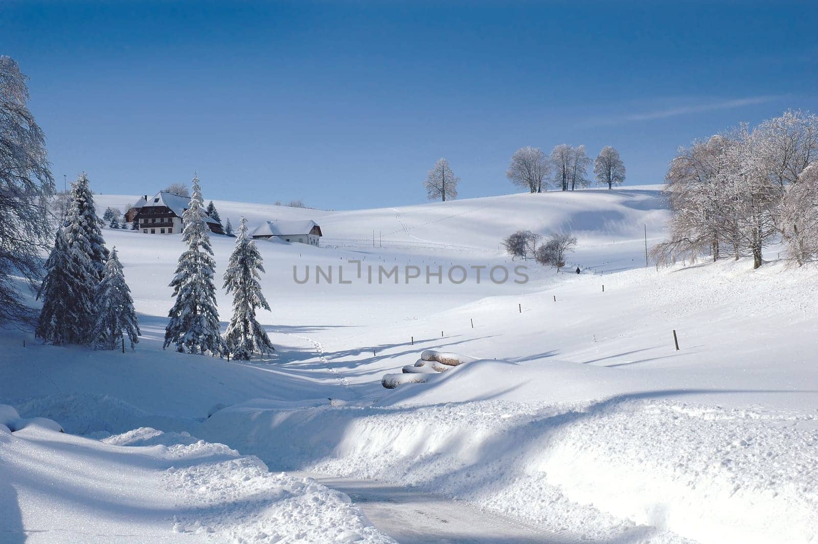 Winter Landscape 12