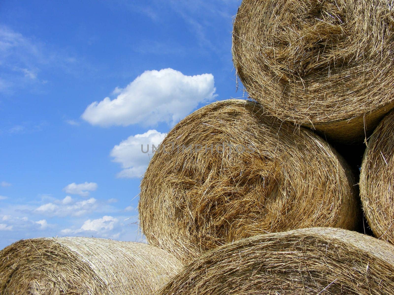 Straw rolls