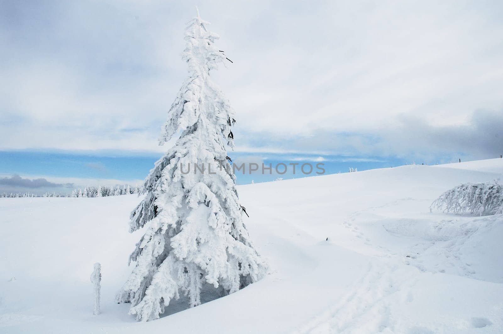 Winter Landscape 10