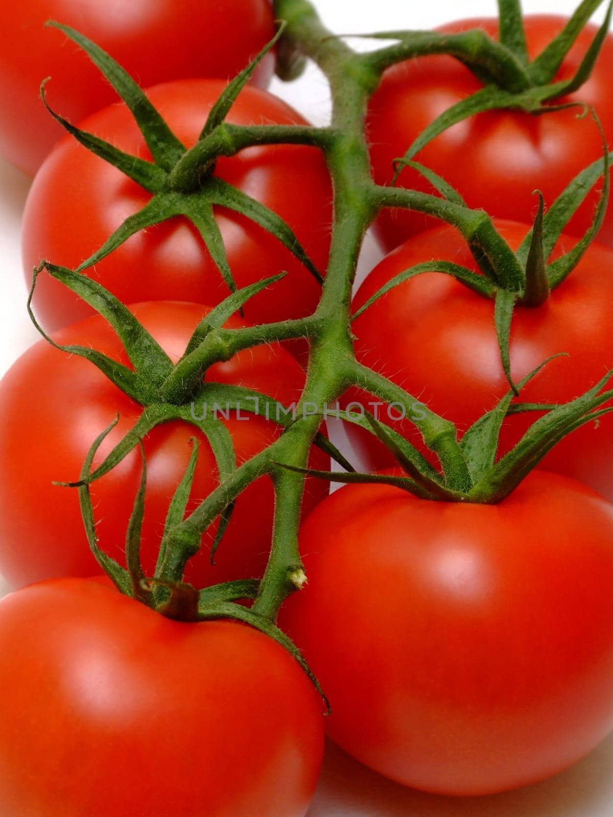Tomatoes