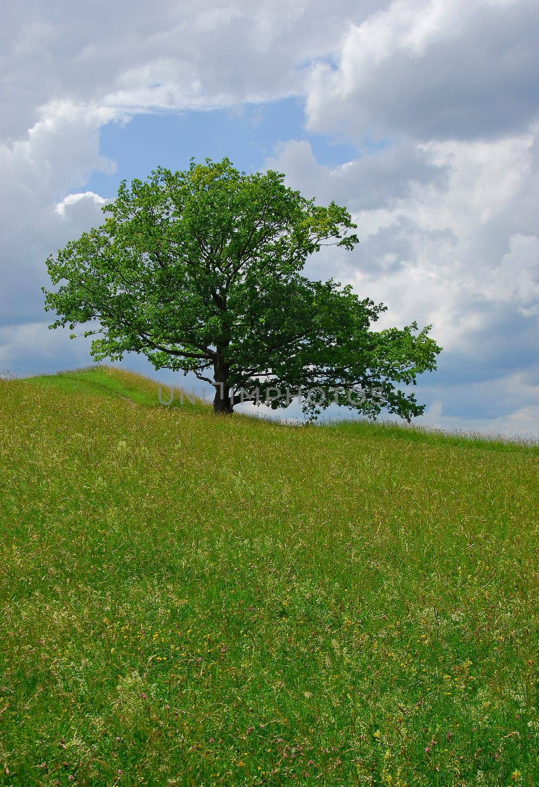 nature landscape or nature unspoiled or nature
