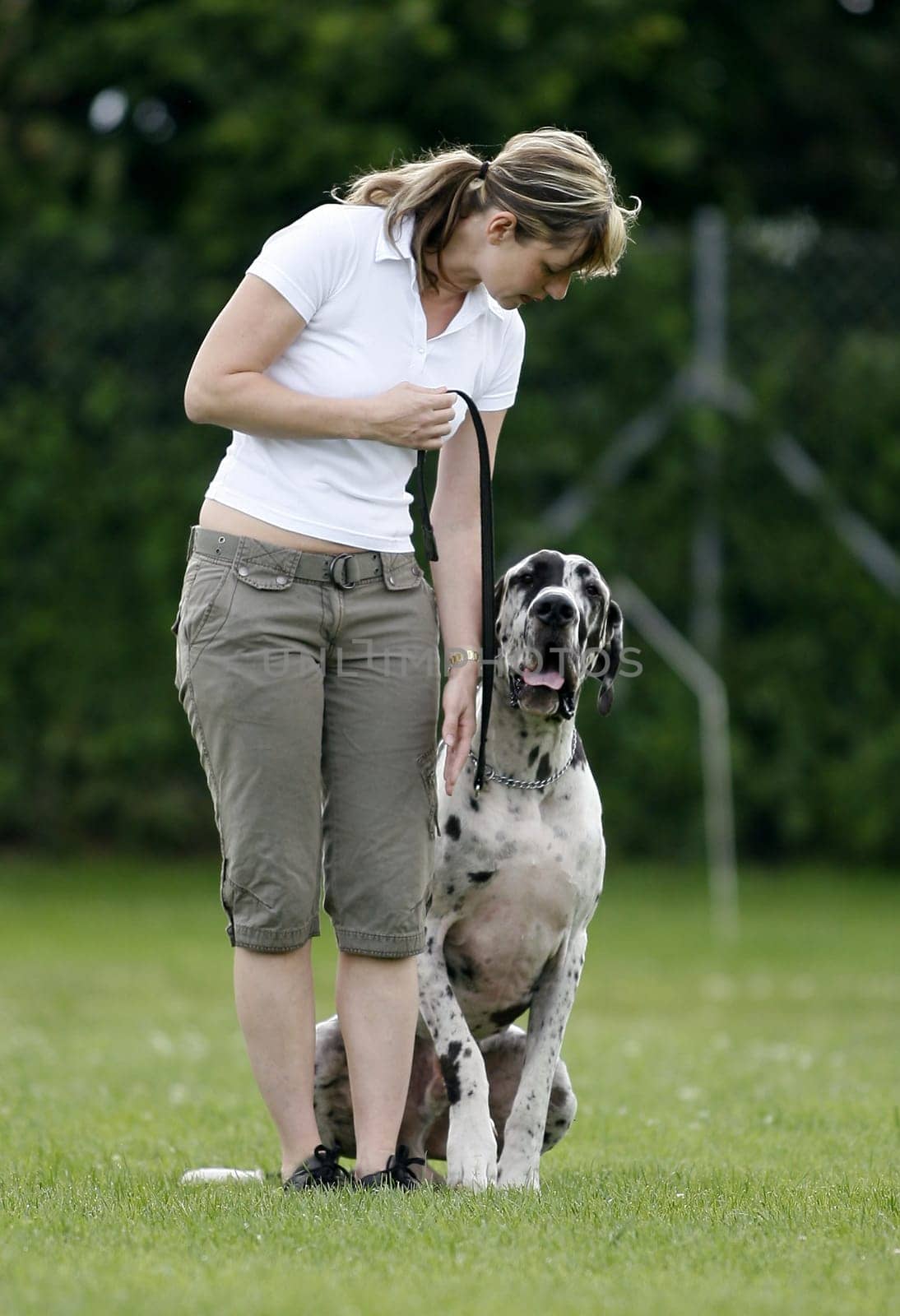 Dog training