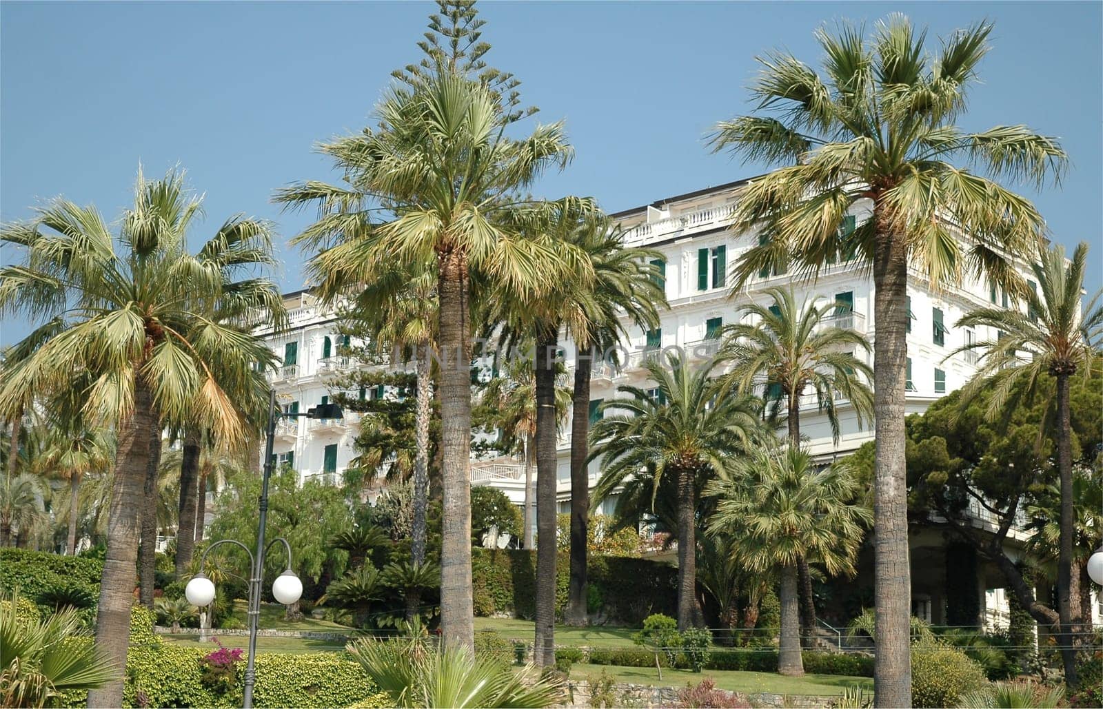 Behind palm trees