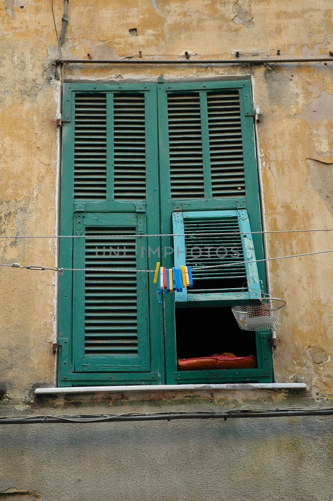 the window