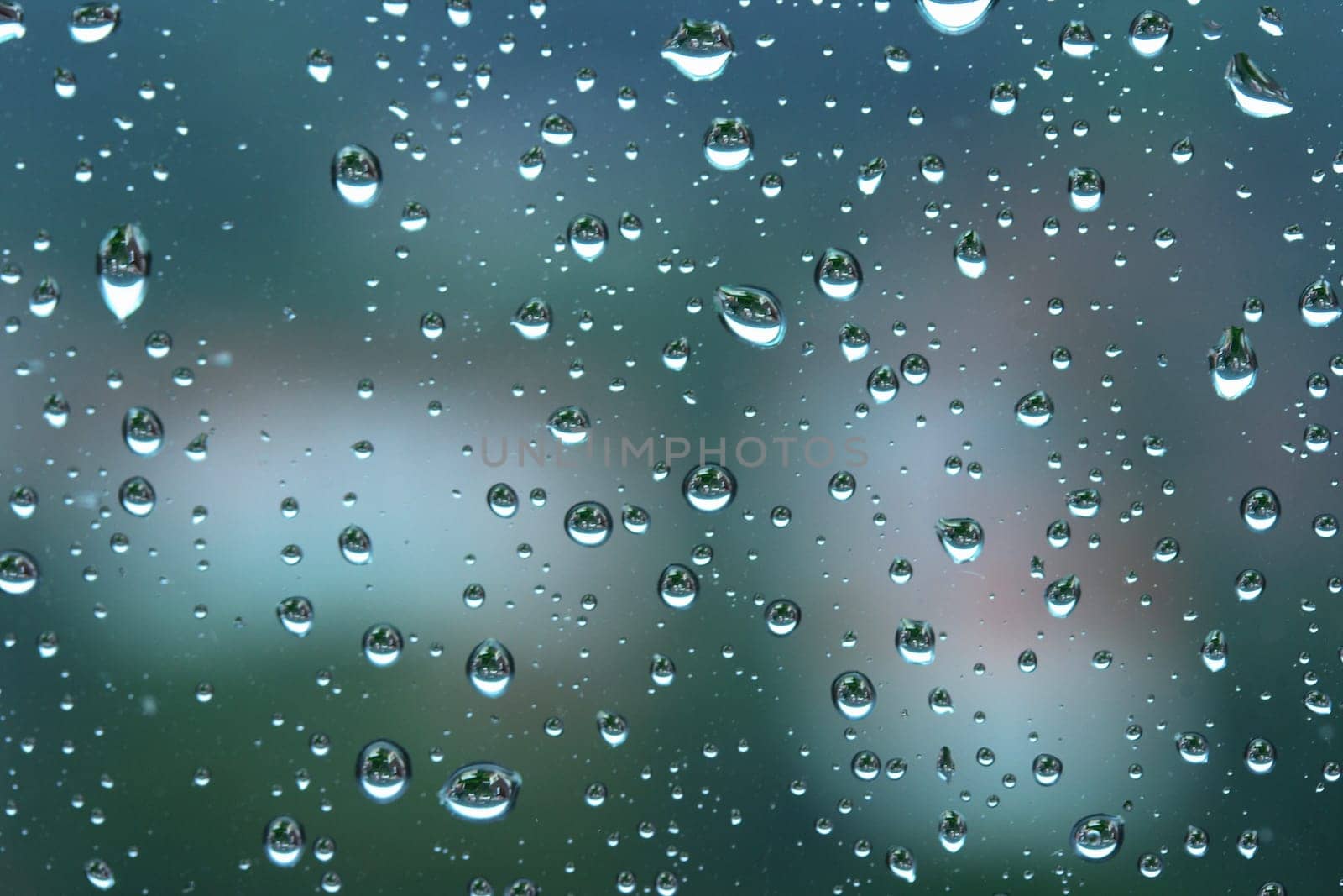 Raindrops on the window