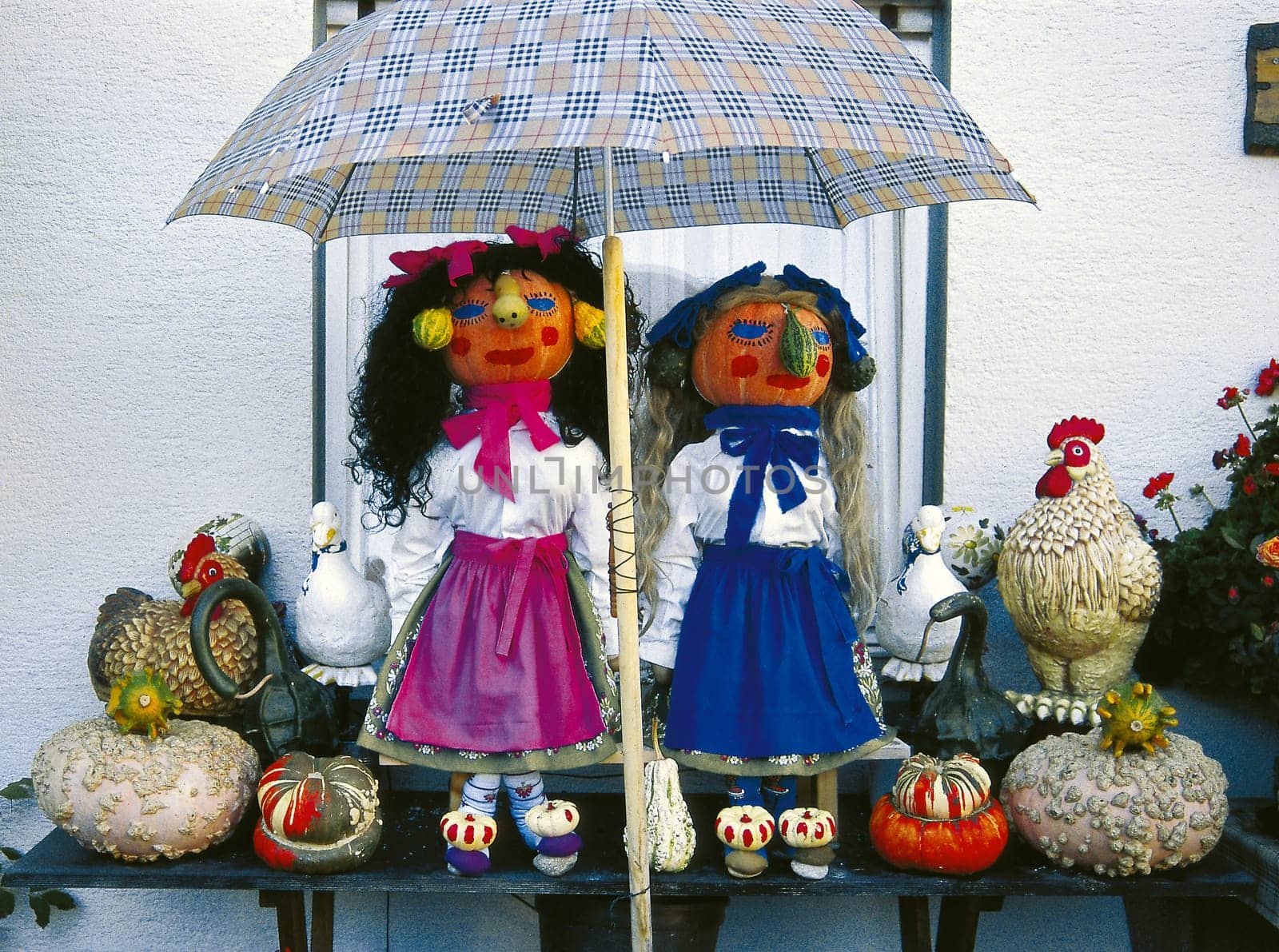 Pumpkin pair
