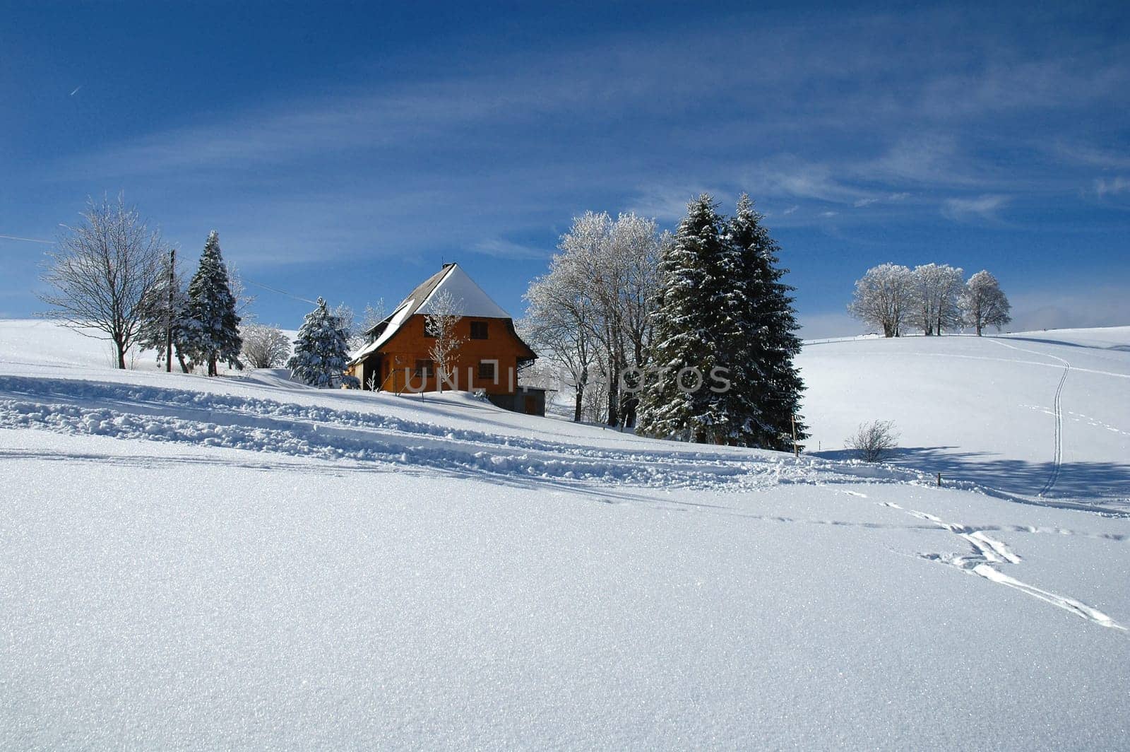 Winter Landscape 13