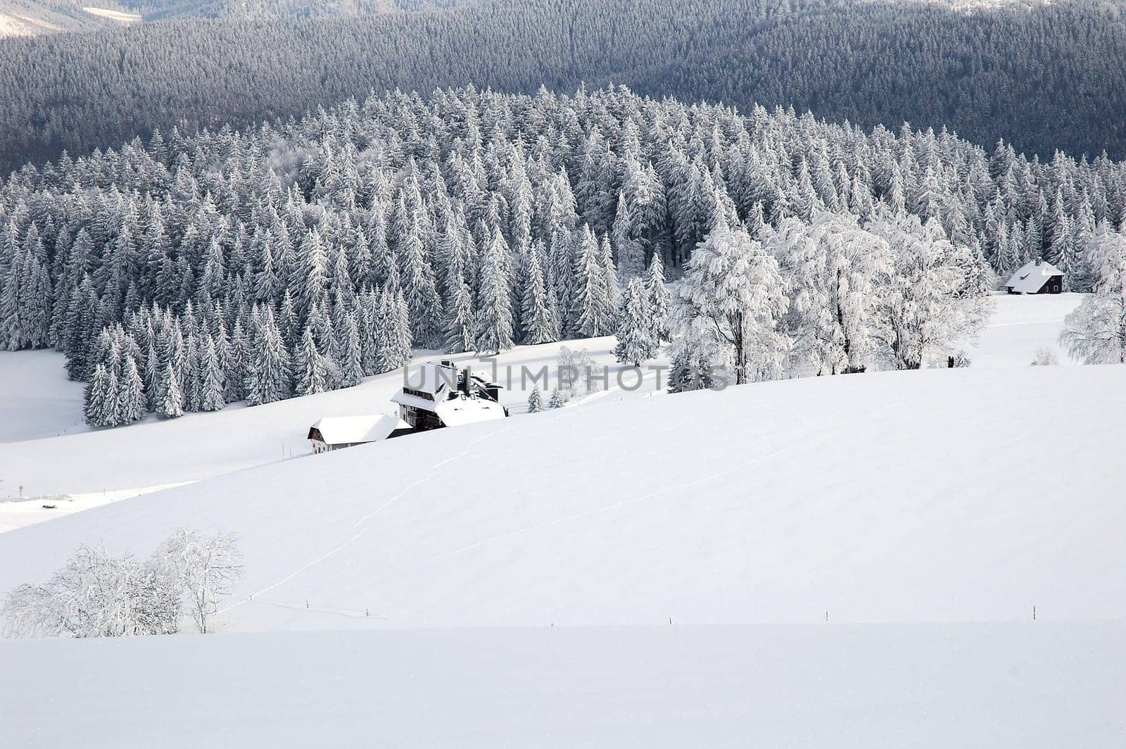 Winter Landscape 14