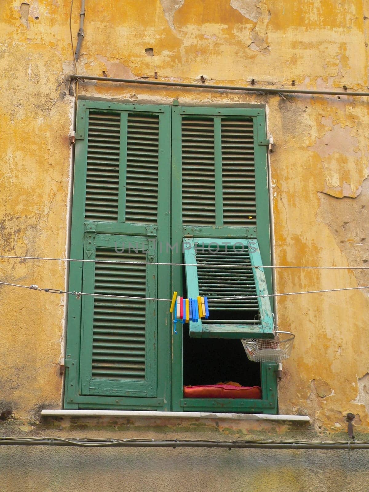 Window