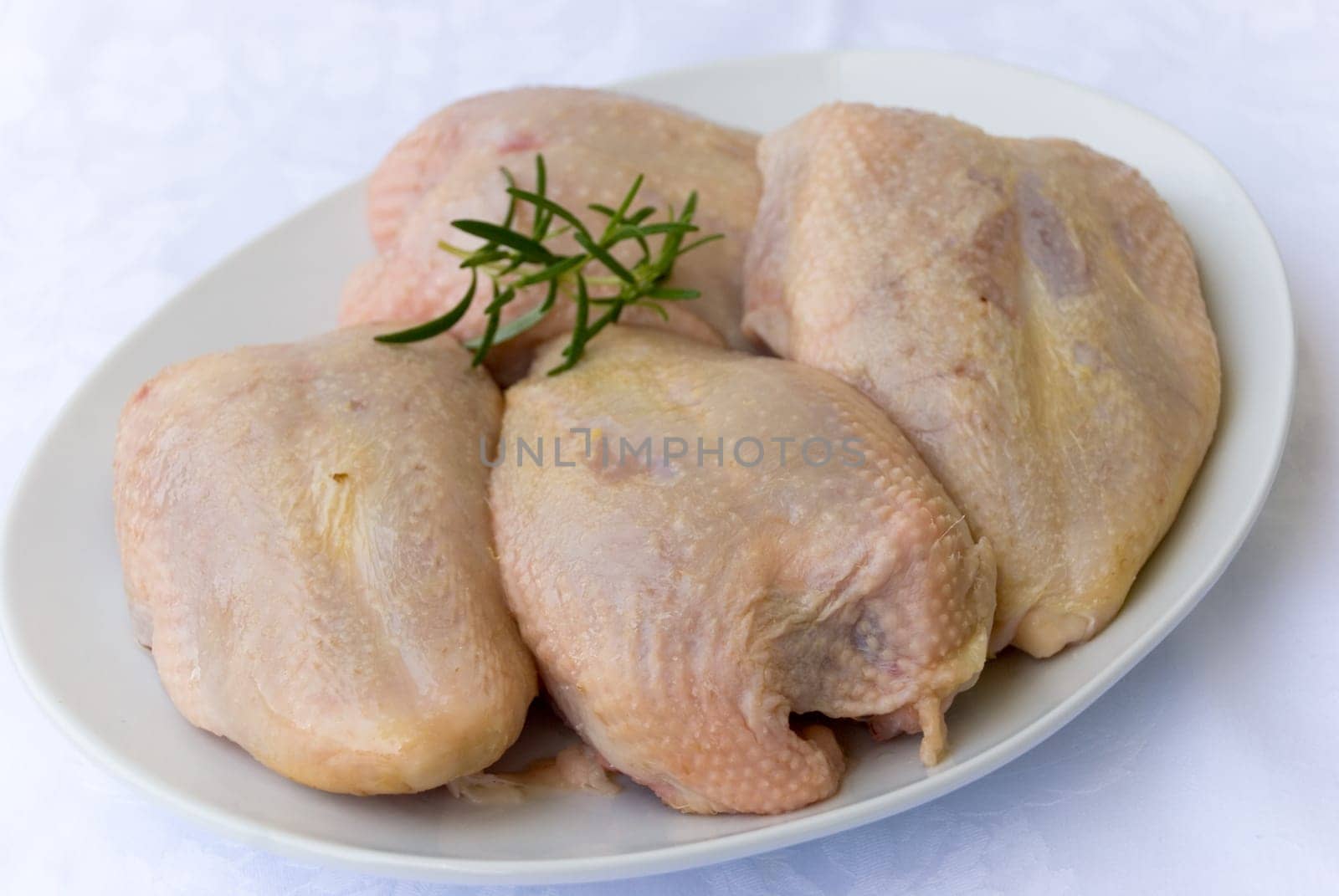 Fresh chicken breast raw