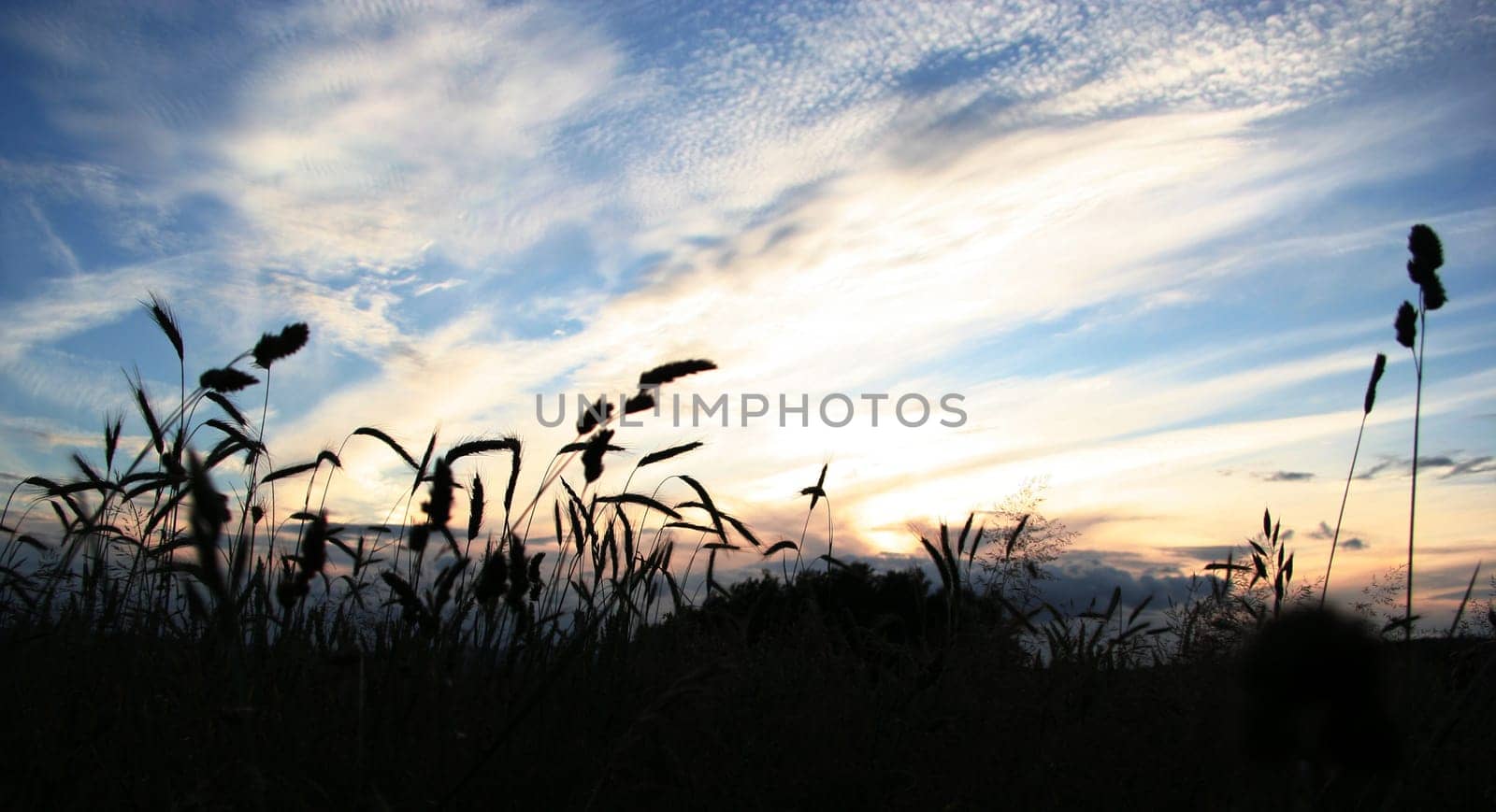 backlit
