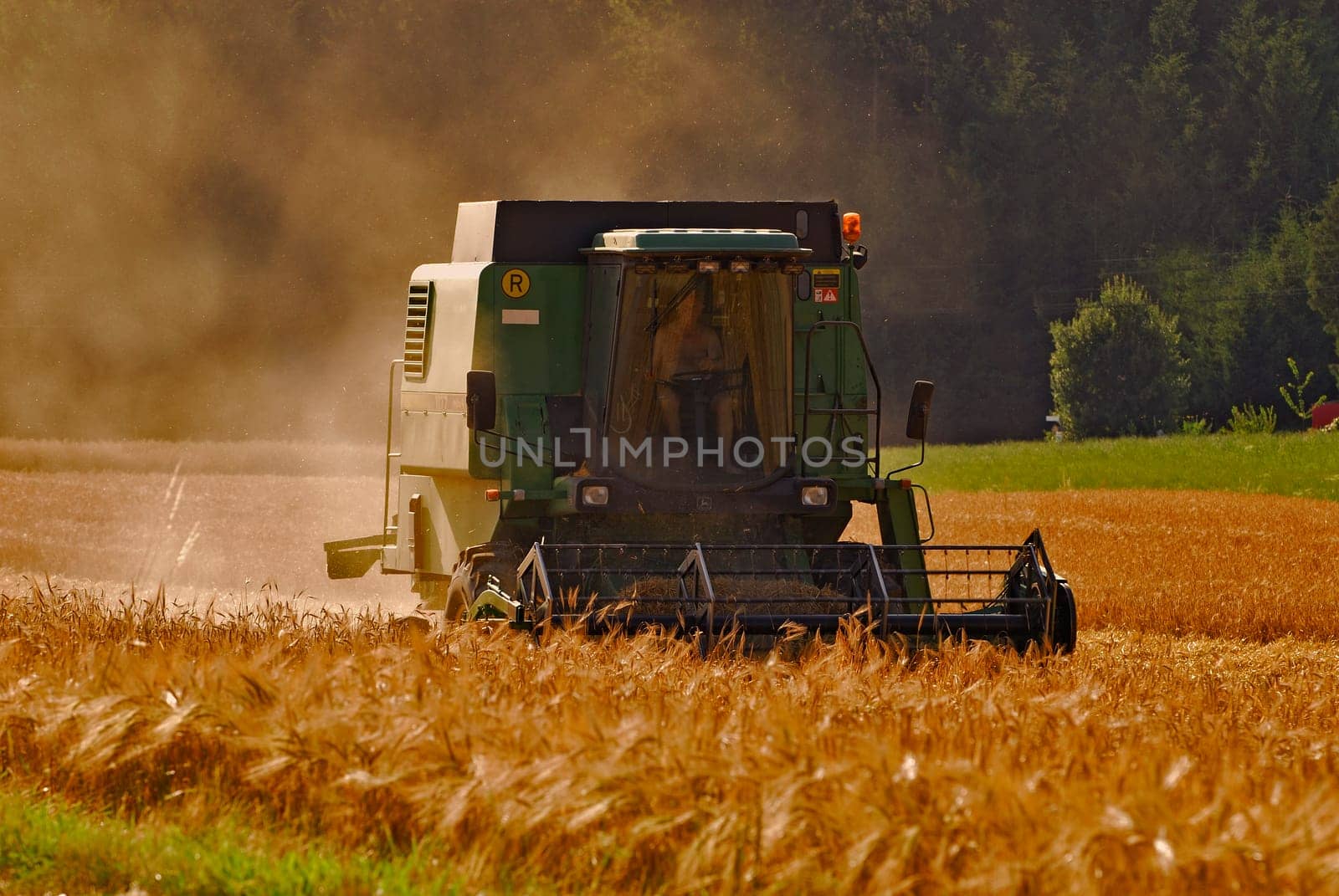 Harvest