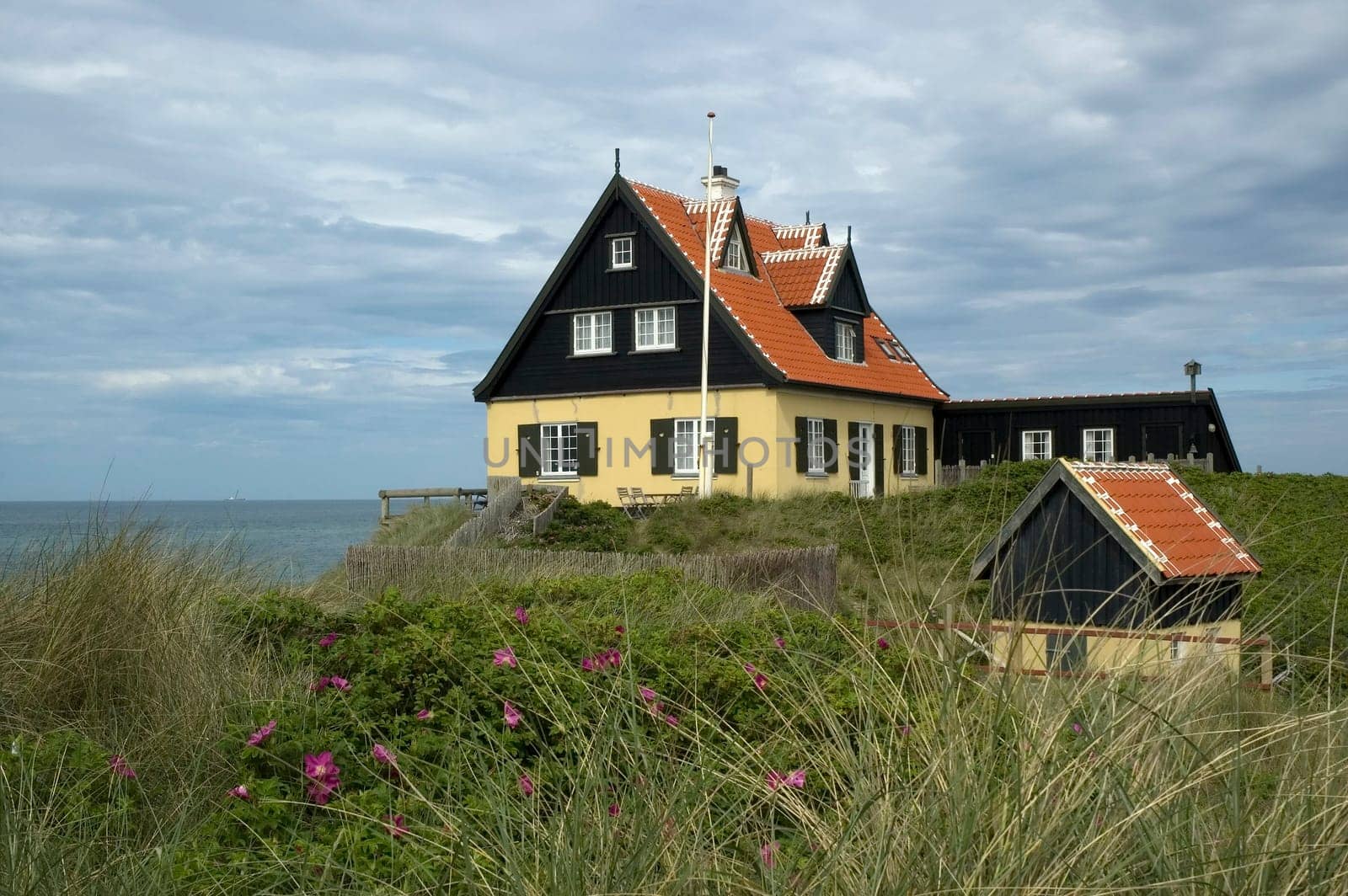 Beach House