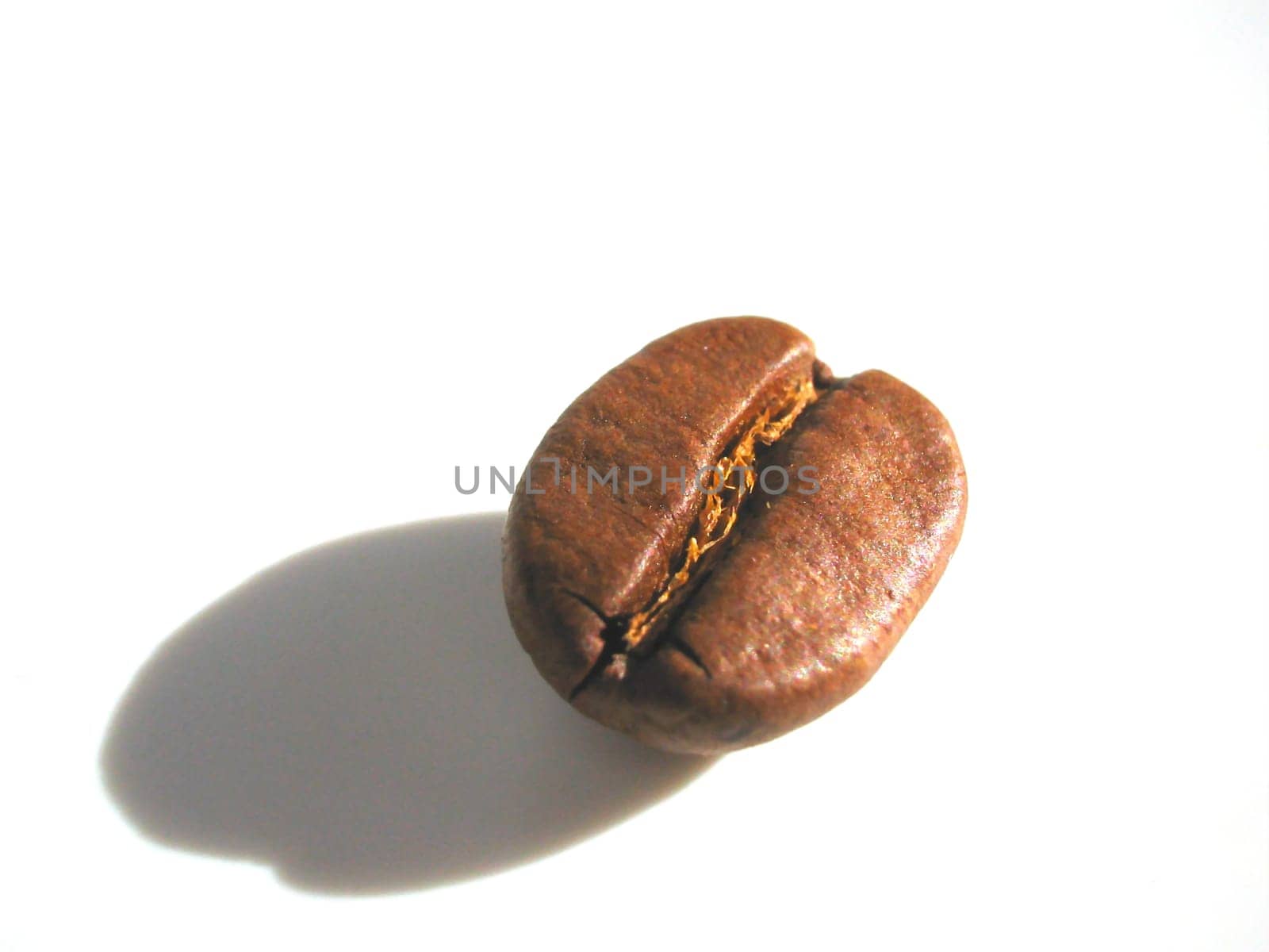 Bean