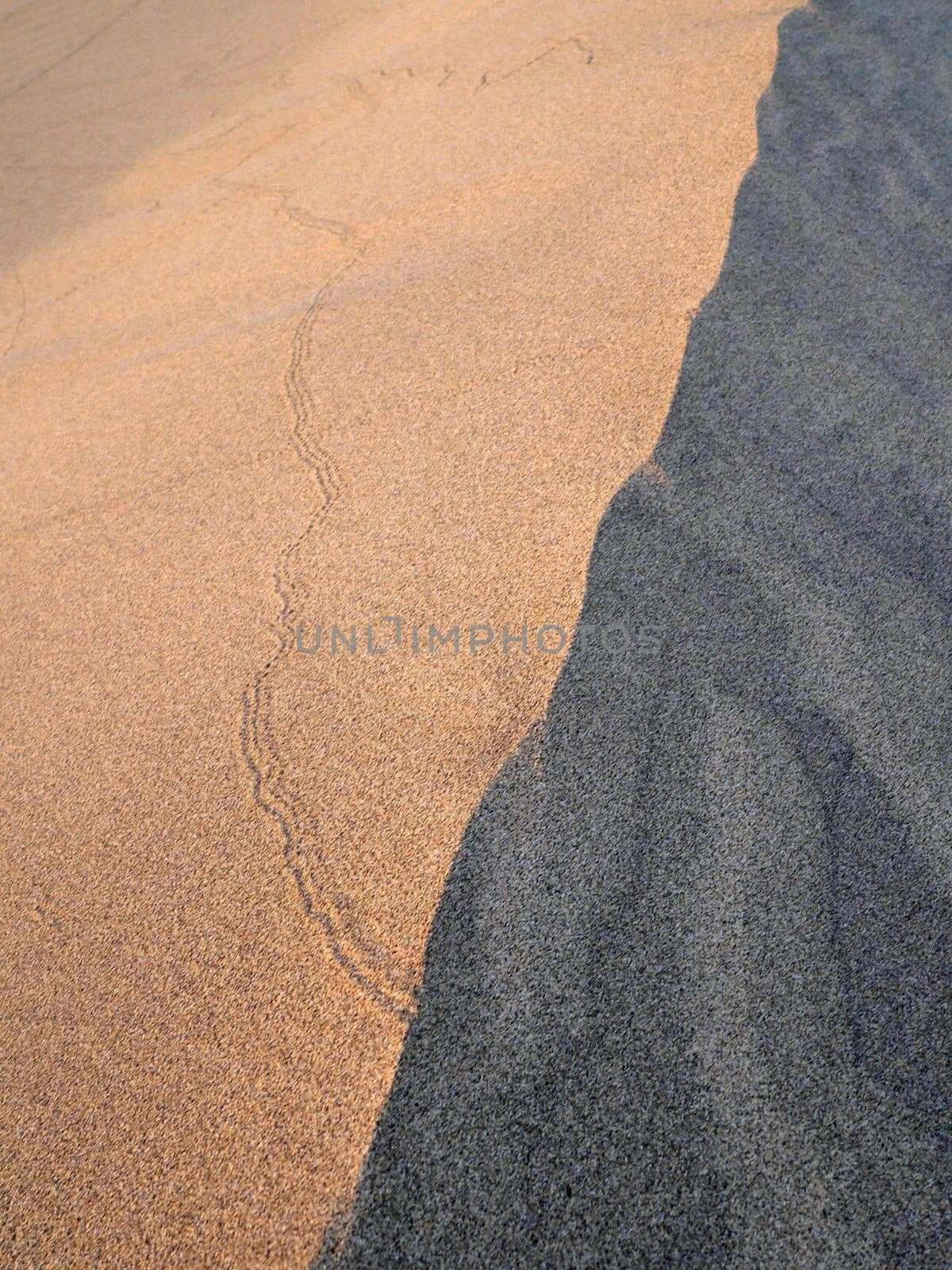 Lines