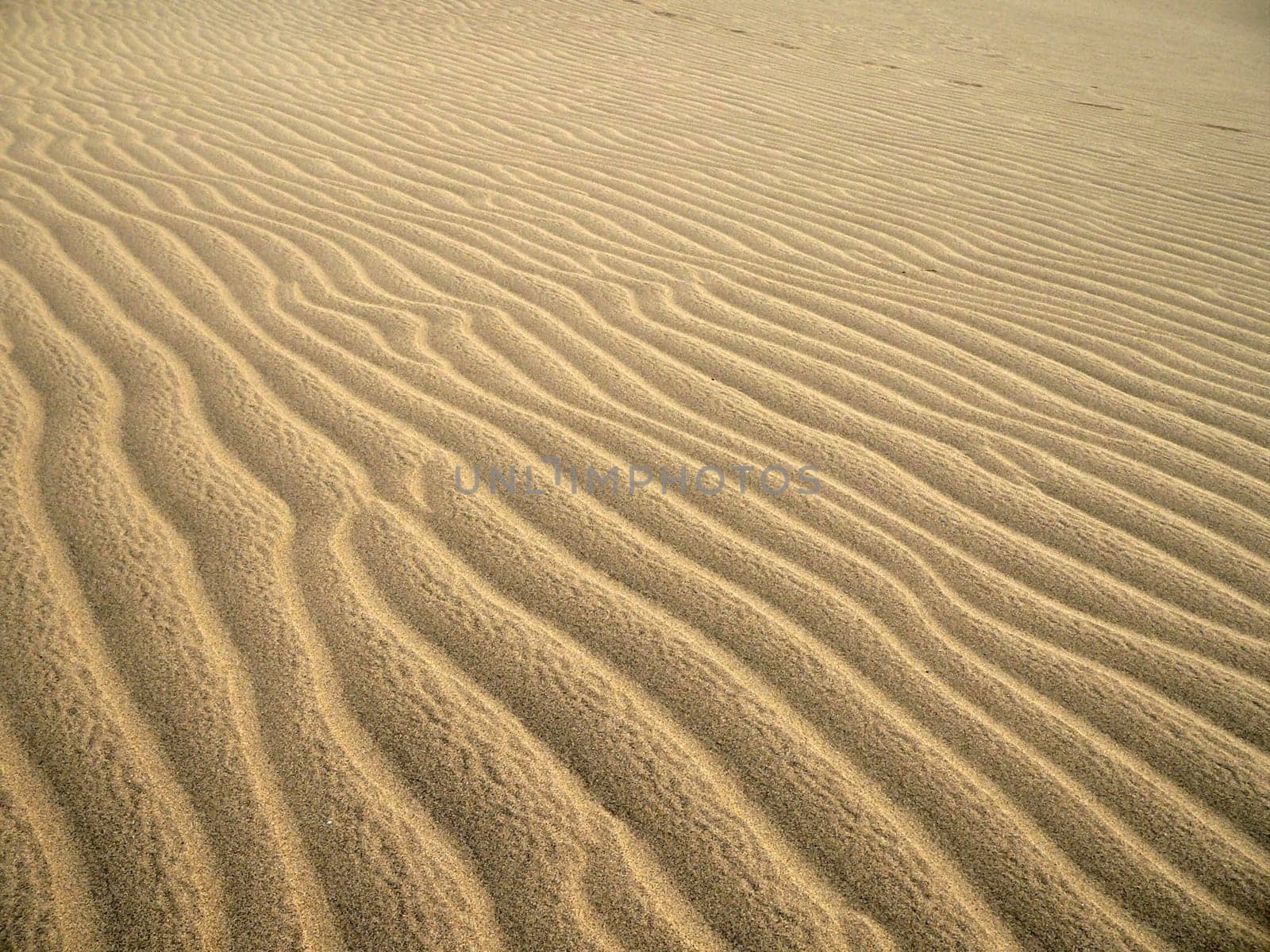 Waves of sand