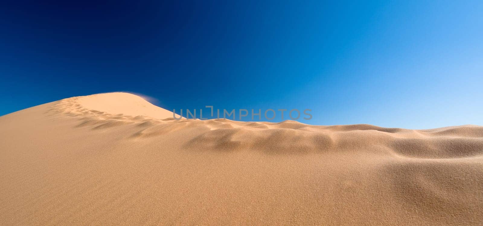 Dune