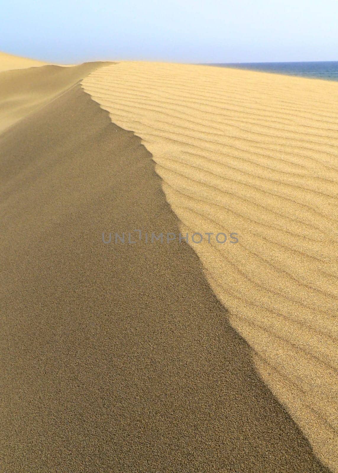 Great Dune