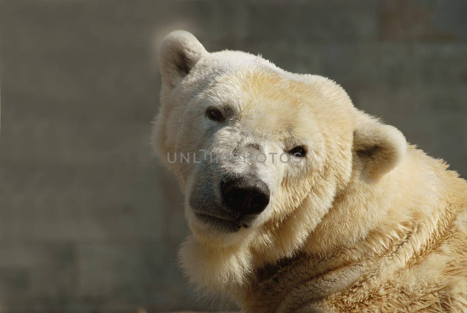Actually,he looked quite friendly....!:-)