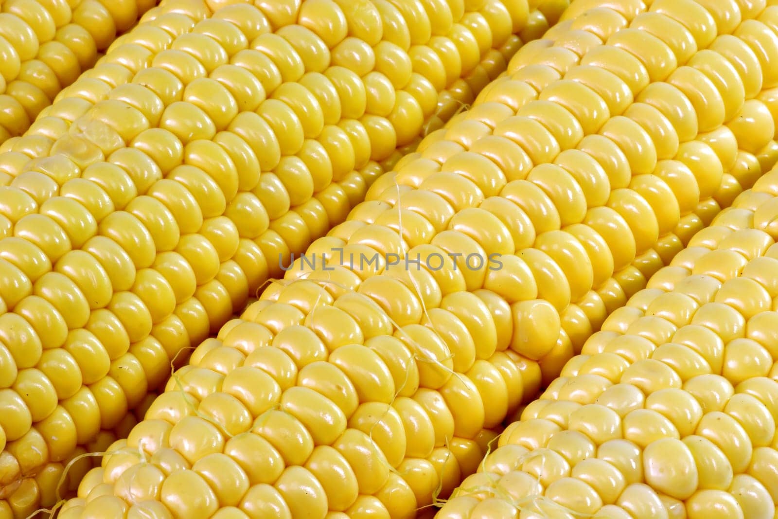 Corn on the cob in detail