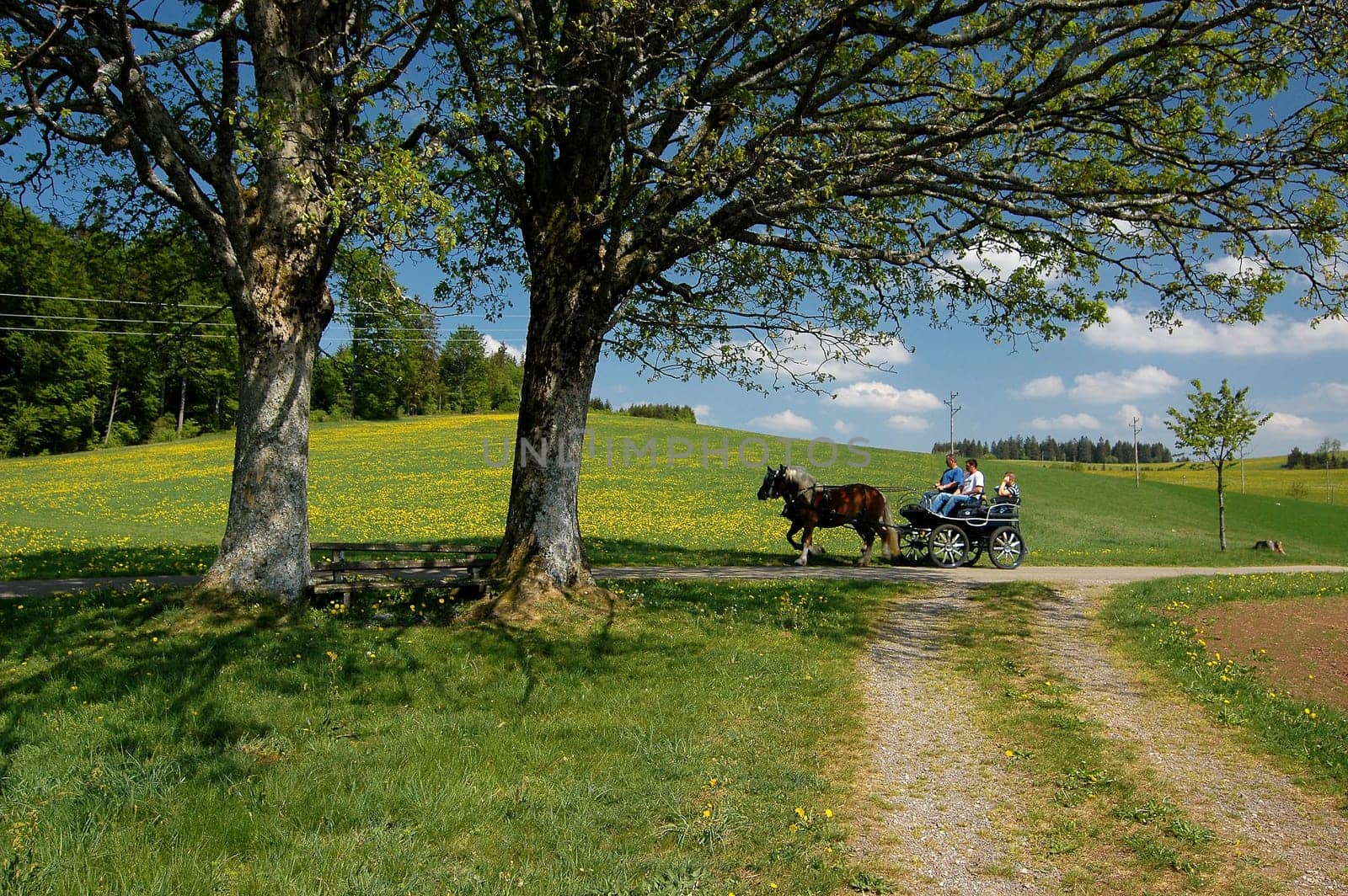 Carriage