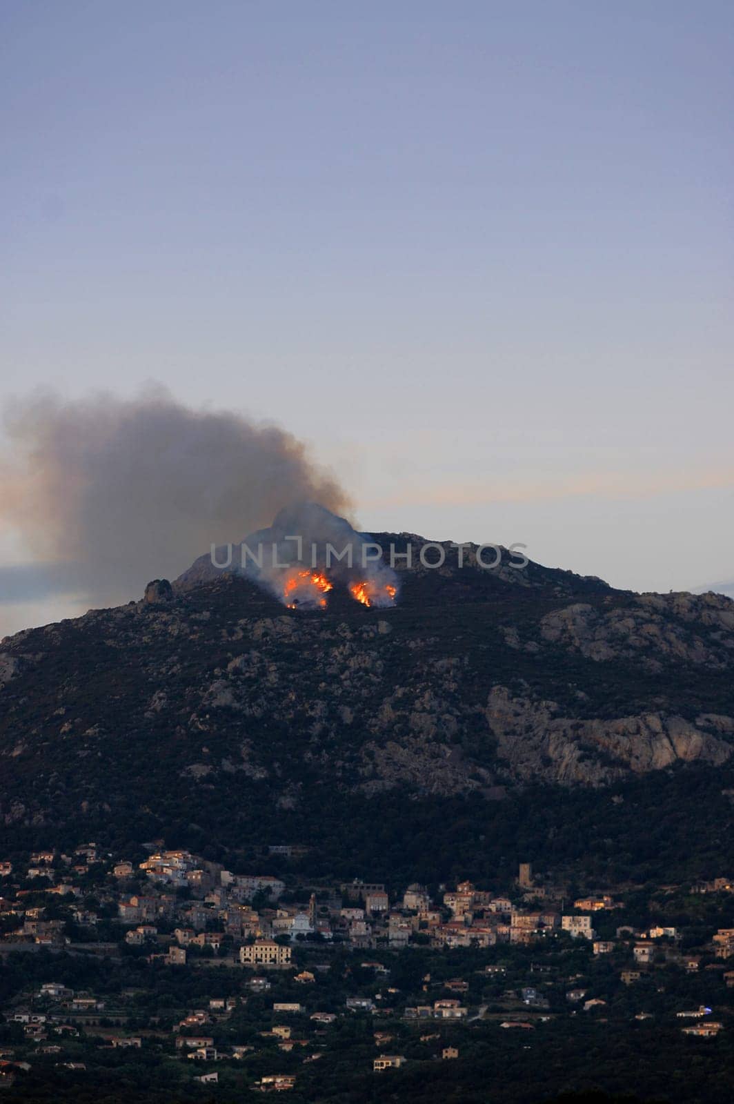 Forest Fire 2