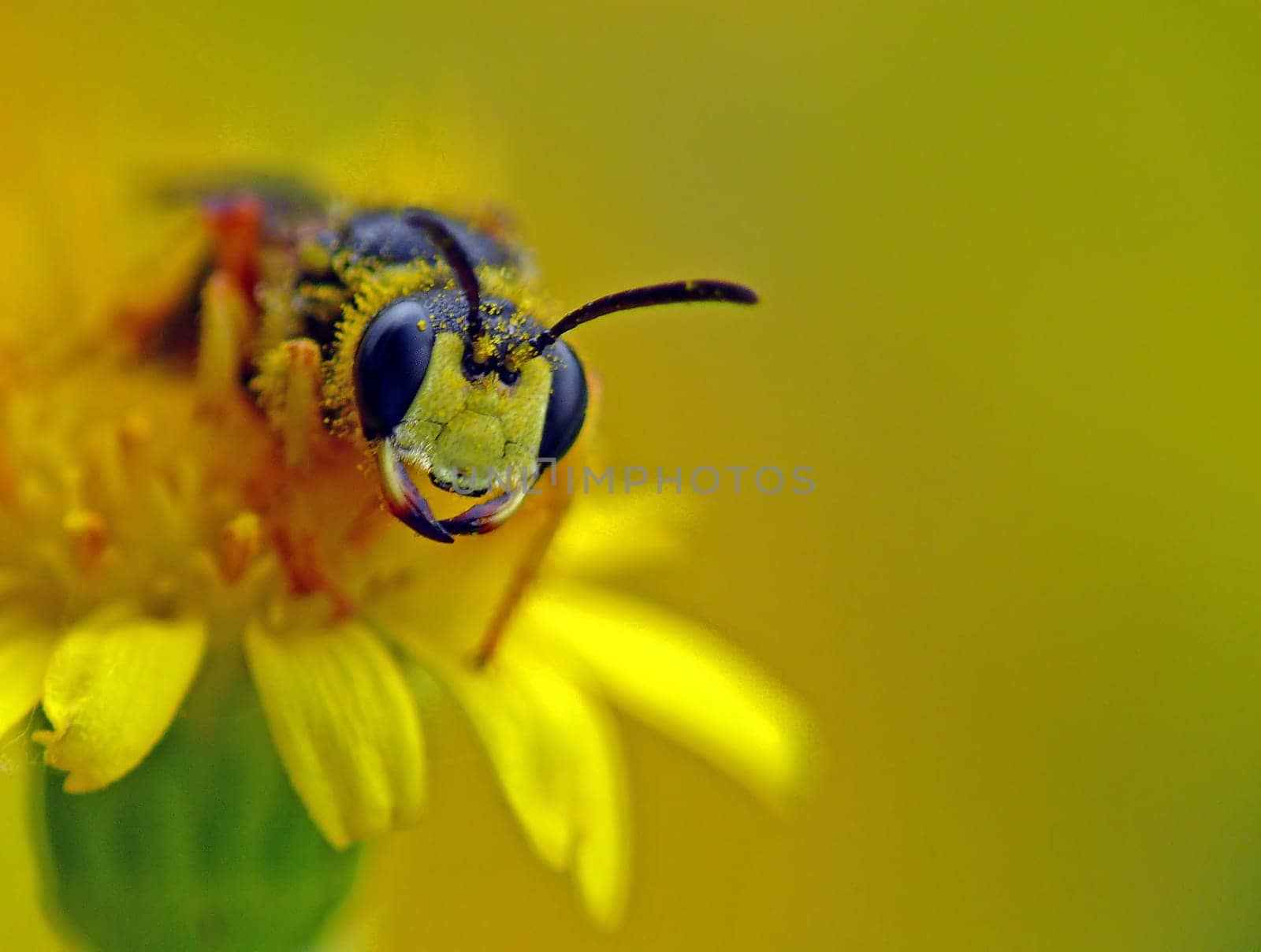 When the cloudy sky opened up for a short time today,I had the following encounter ....