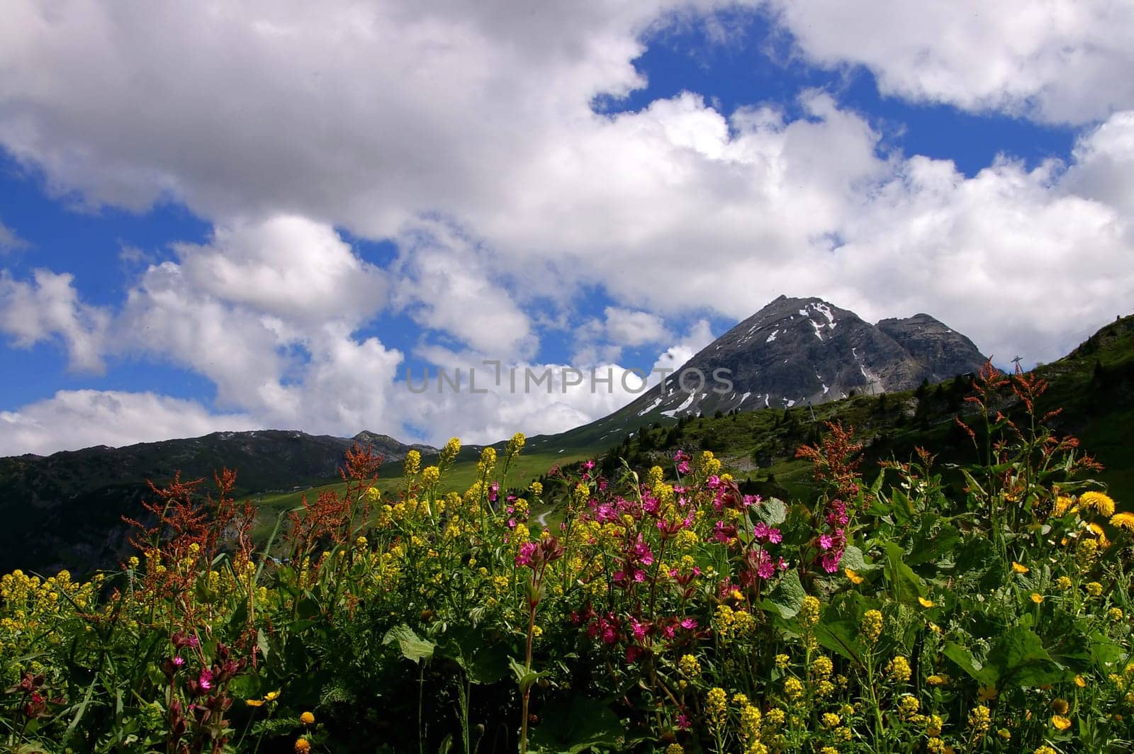 Mountain idyll