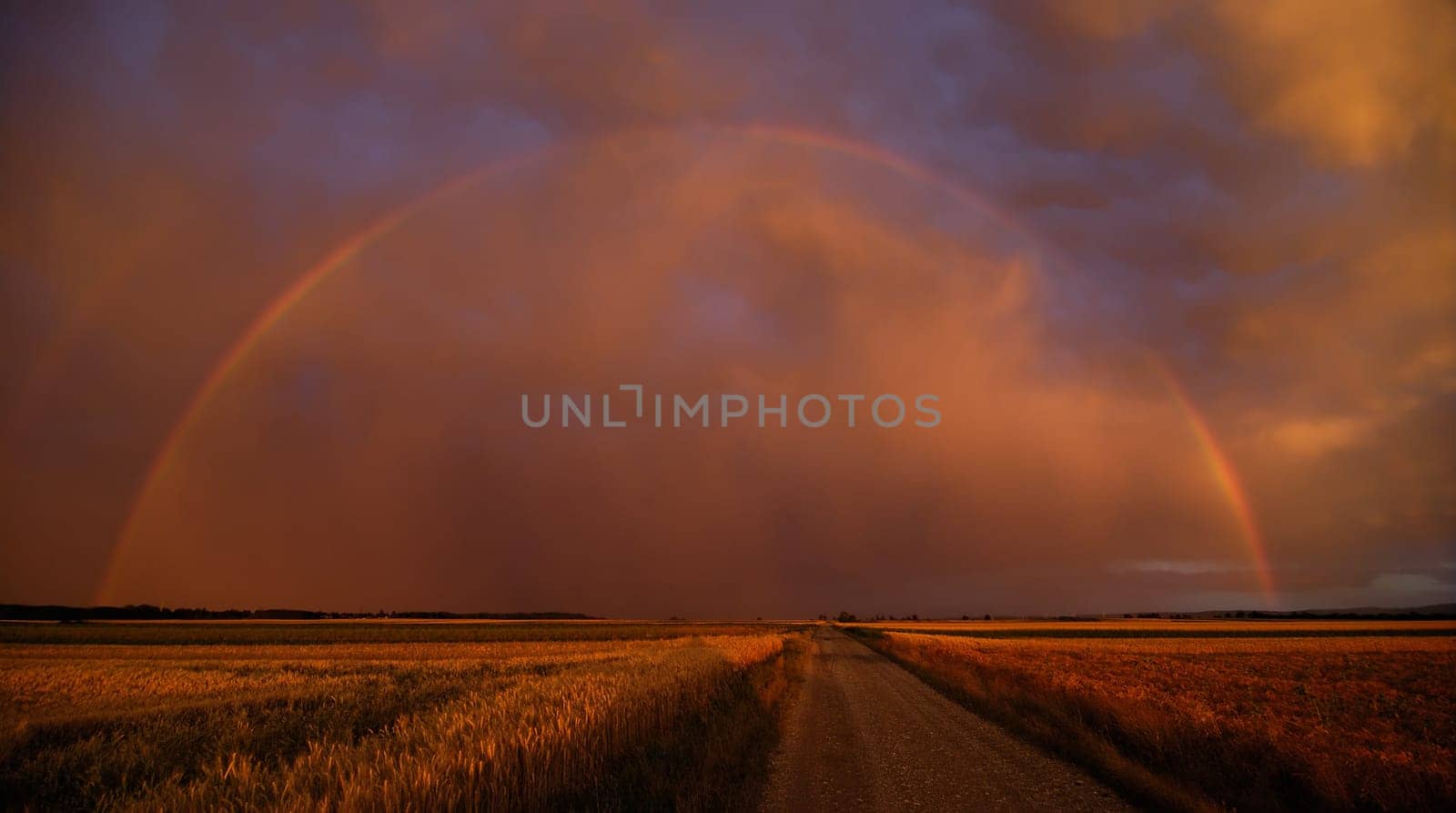 Rainbow in the evening light
