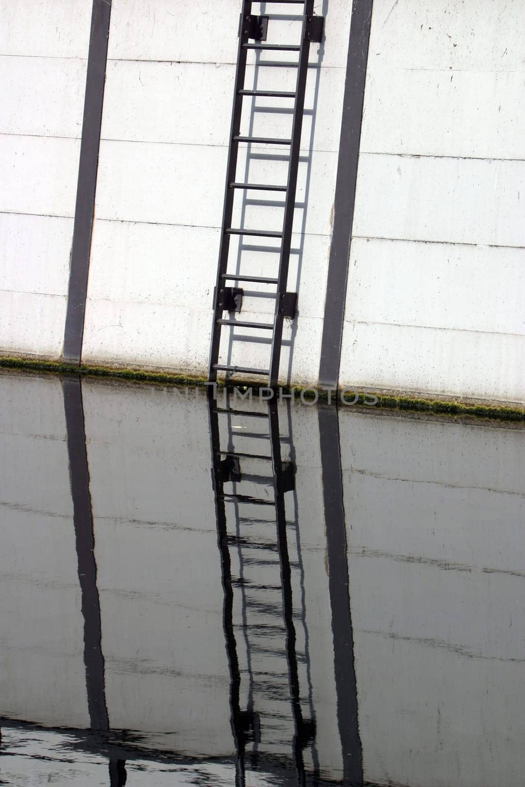 Reflection