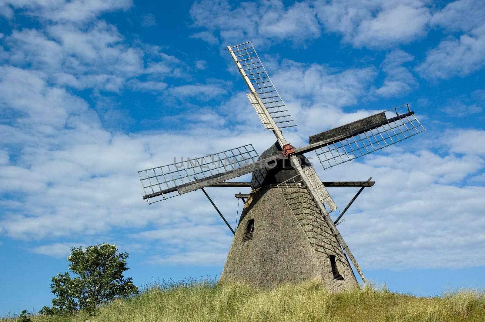 Windmill in Skagen